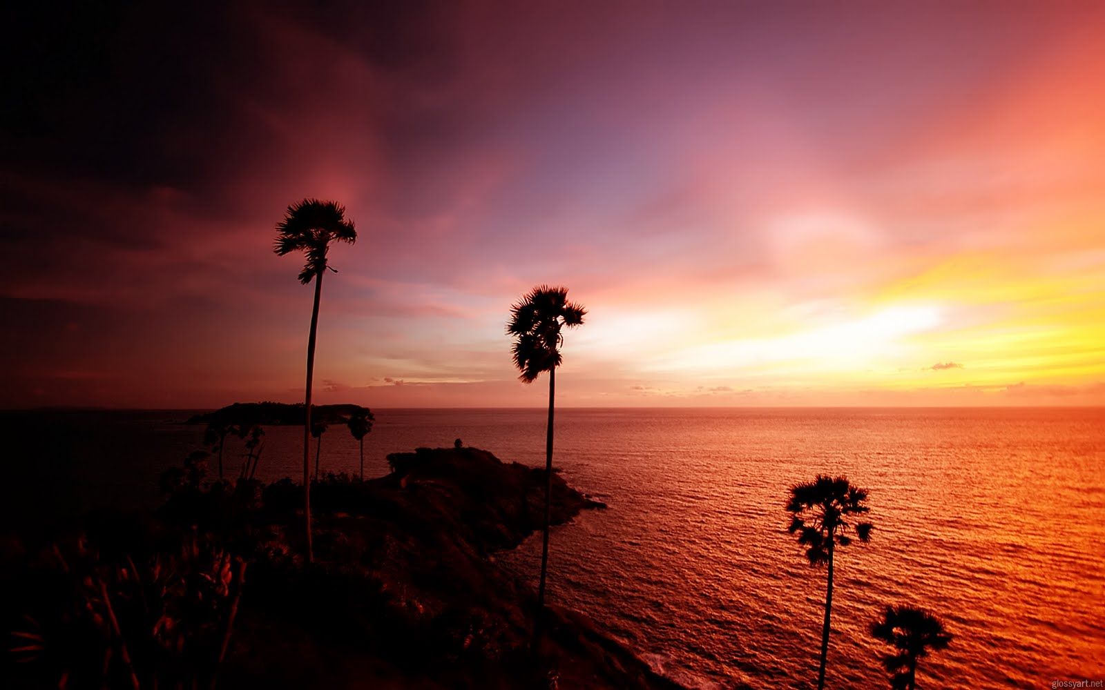 Tramonto tropicale con palme, 1600x1000 HD Ready, Monitor Gaming