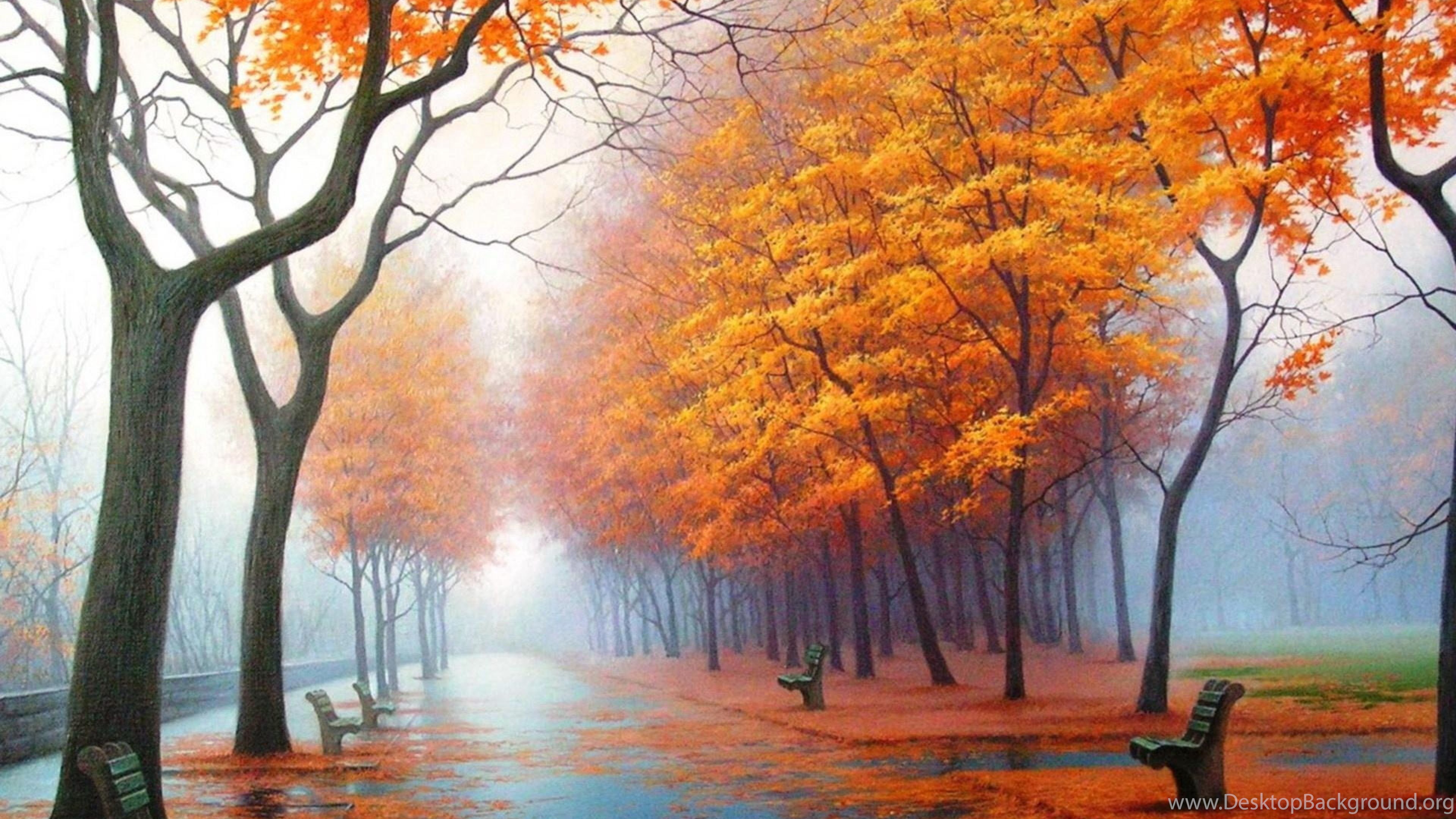 Viale alberato autunnale dorato, 1920x1080 Full HD, Desktop