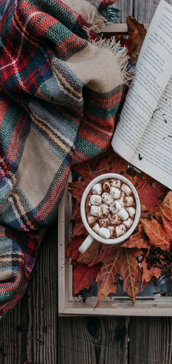 Cioccolata calda con marshmallow e plaid, 720x1520 Verticale, Mobile
