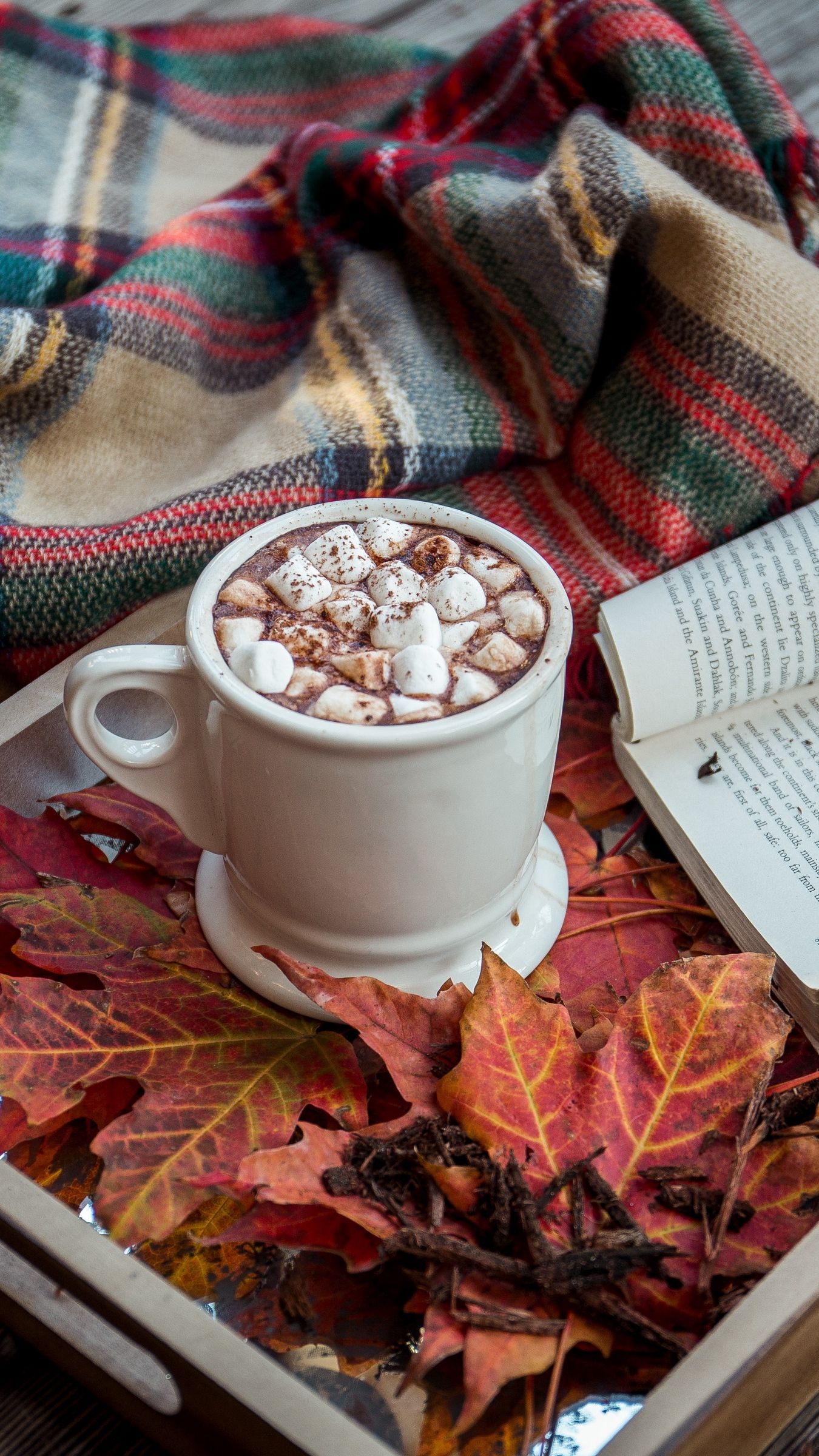 Cioccolata calda con marshmallow autunnale, 1350x2400 Verticale, Telefono