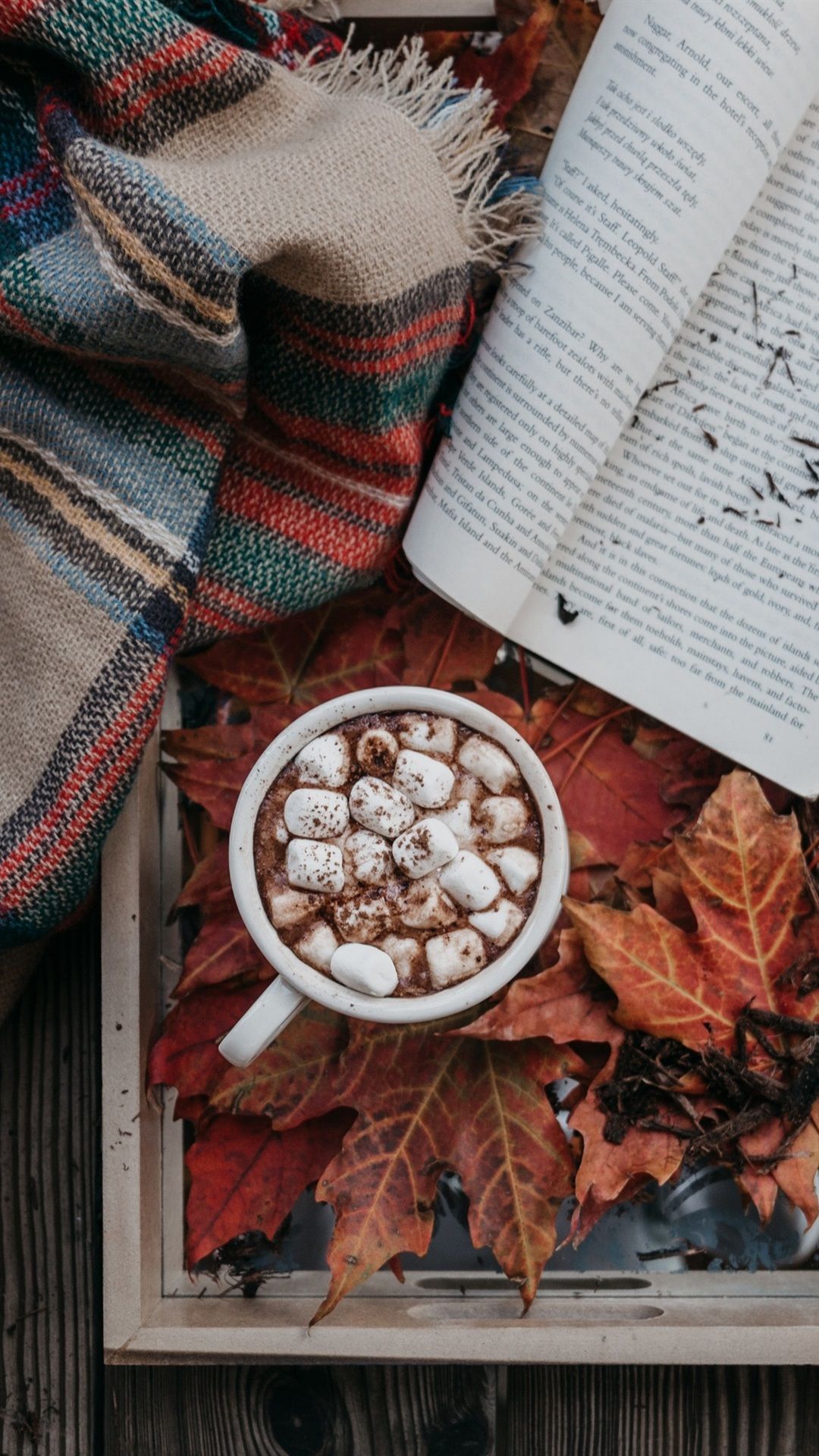 Cioccolata calda marshmallow foglie autunno, 1080x1920 Full HD Verticale, iPhone