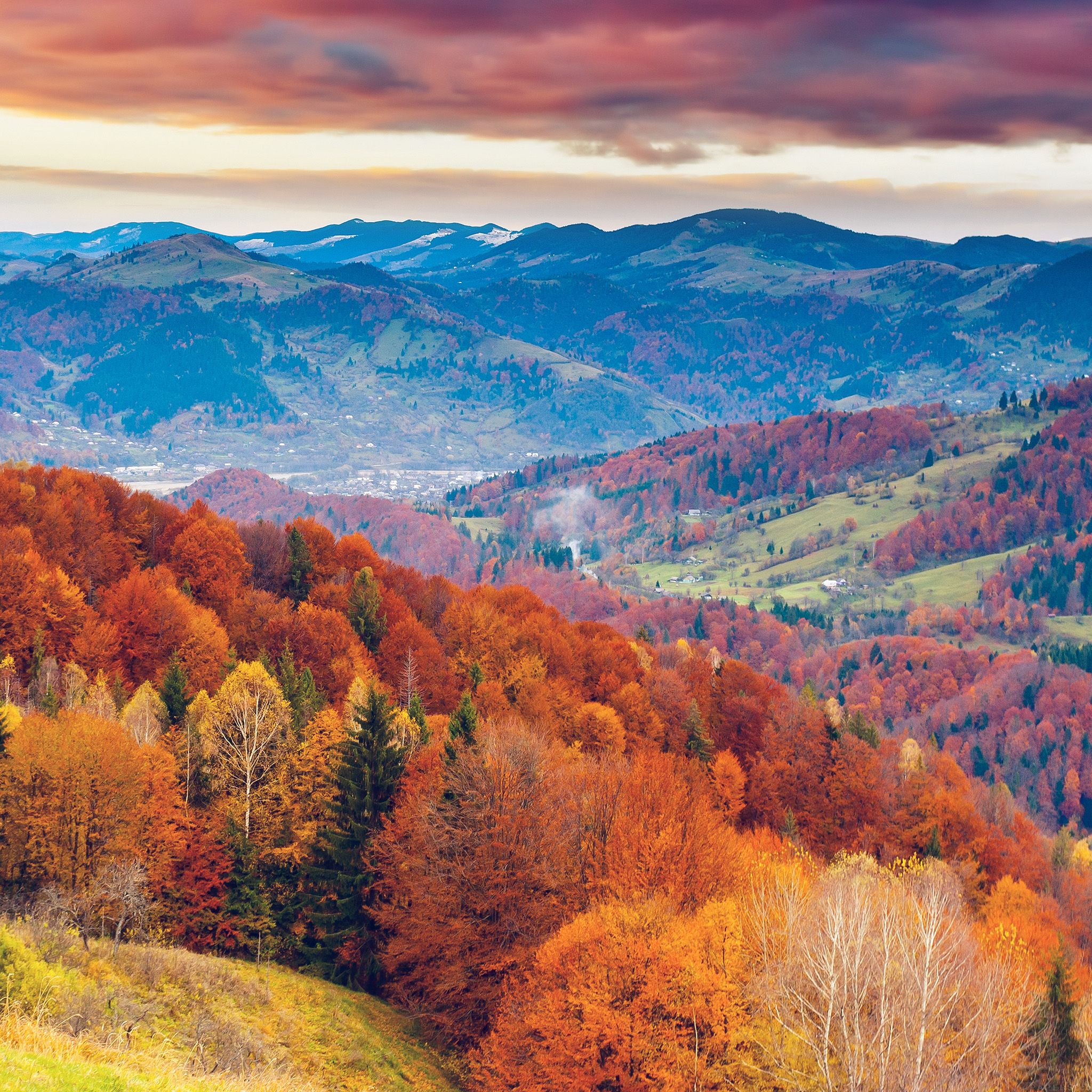 Sentiero autunnale con foglie colorate, 1920x1080 1080p, PC