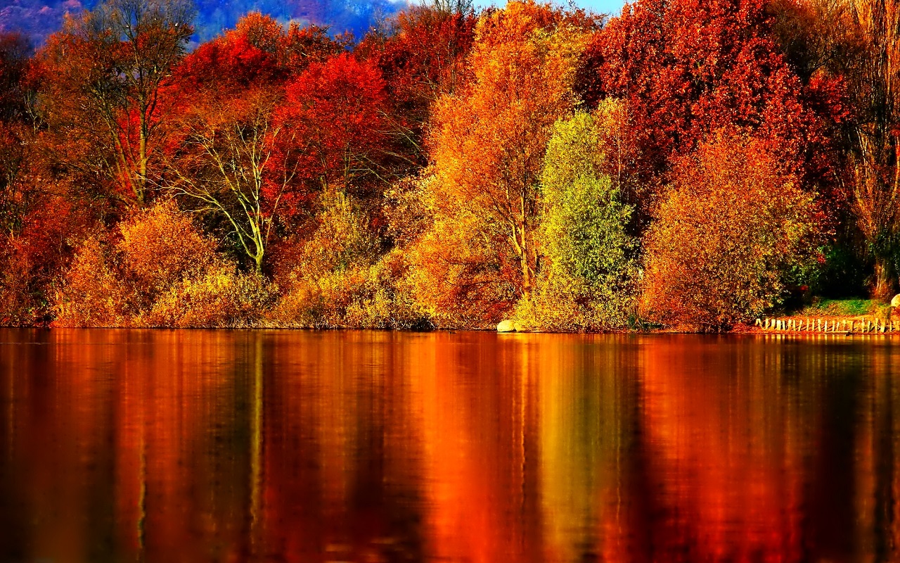 Lago con alberi autunnali riflessi, 1280x800 HD, Desktop