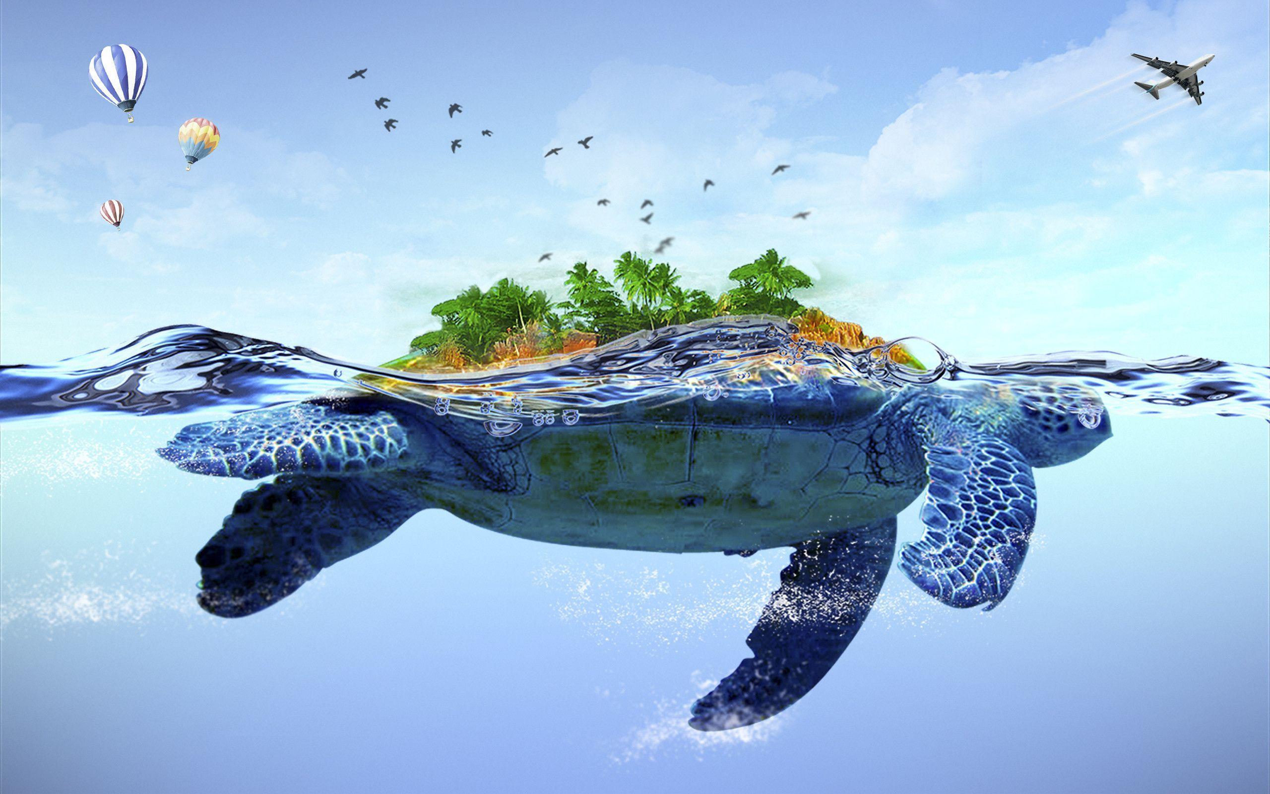 Tartaruga gigante con isola sul dorso, 2560x1600 WQXGA, Desktop