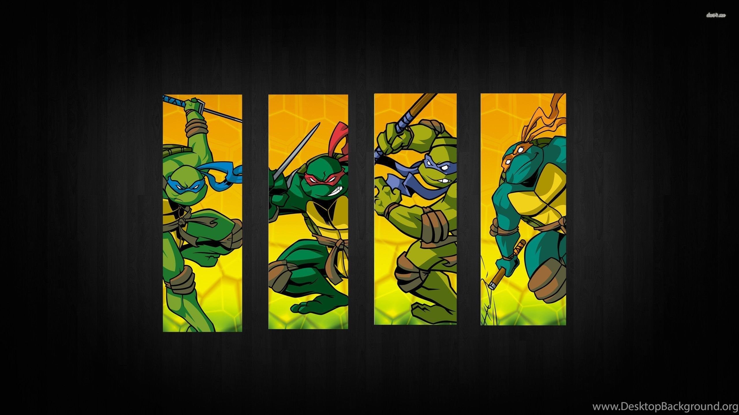 Tartarughe Ninja quattro pannelli, 2560x1440 2K, Desktop
