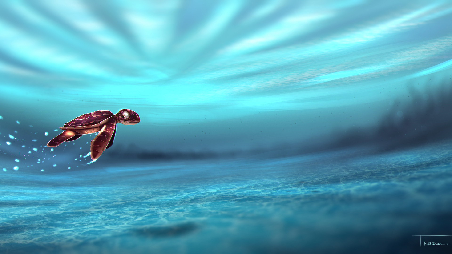 Tartaruga marina baby nuota, 1920x1080 Full HD 1080p, Laptop