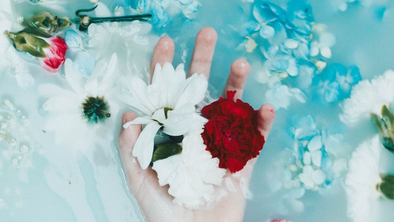 Mano con fiori nell'acqua, 1366x768 720p, HP Laptop