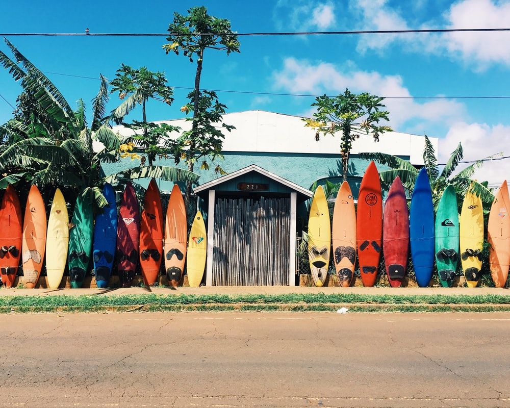 Tavole da surf colorate allineate, 1000x800 HD, PC