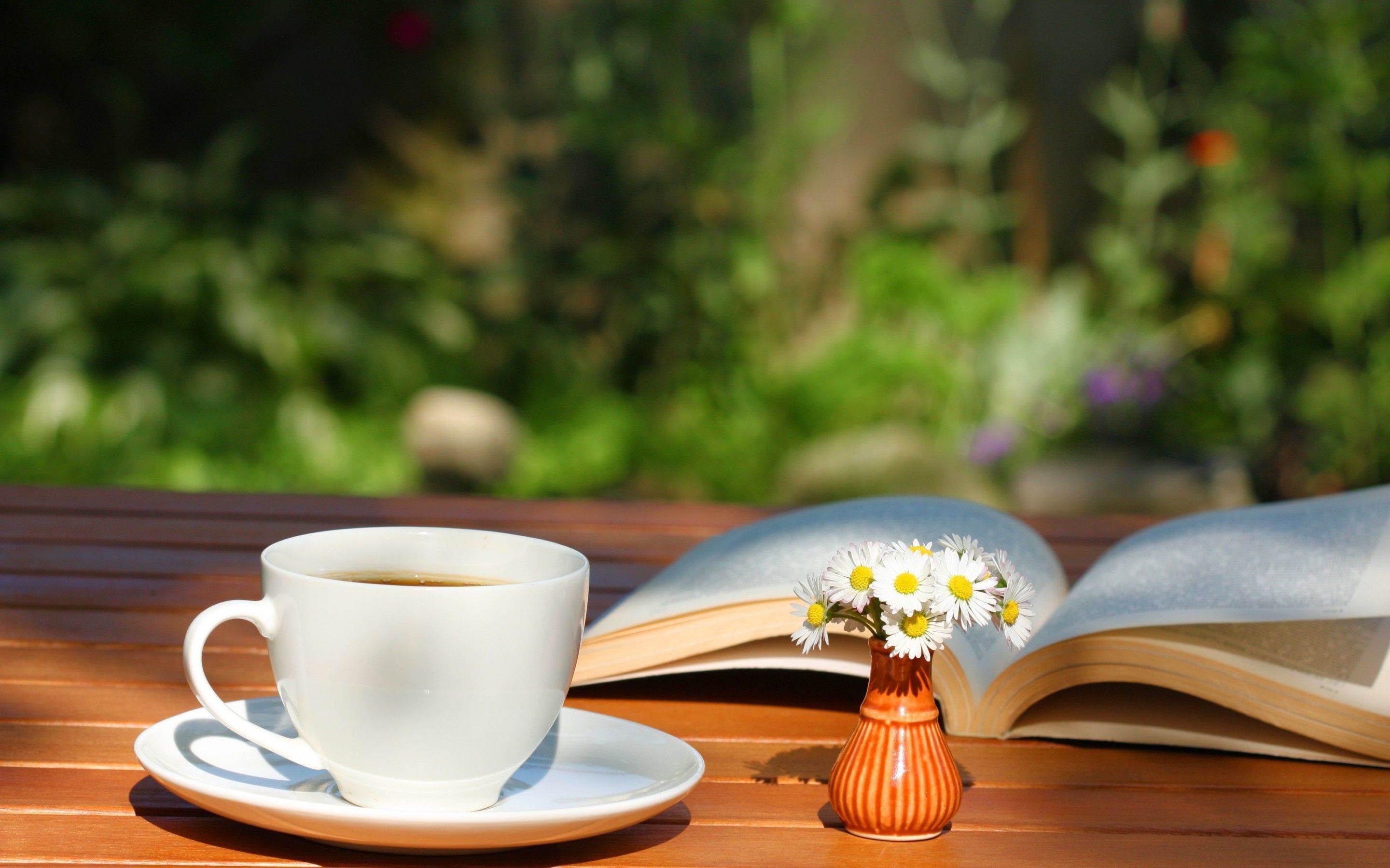 Tazza tè e libro giardino, 2880x1800 2K+, Laptop