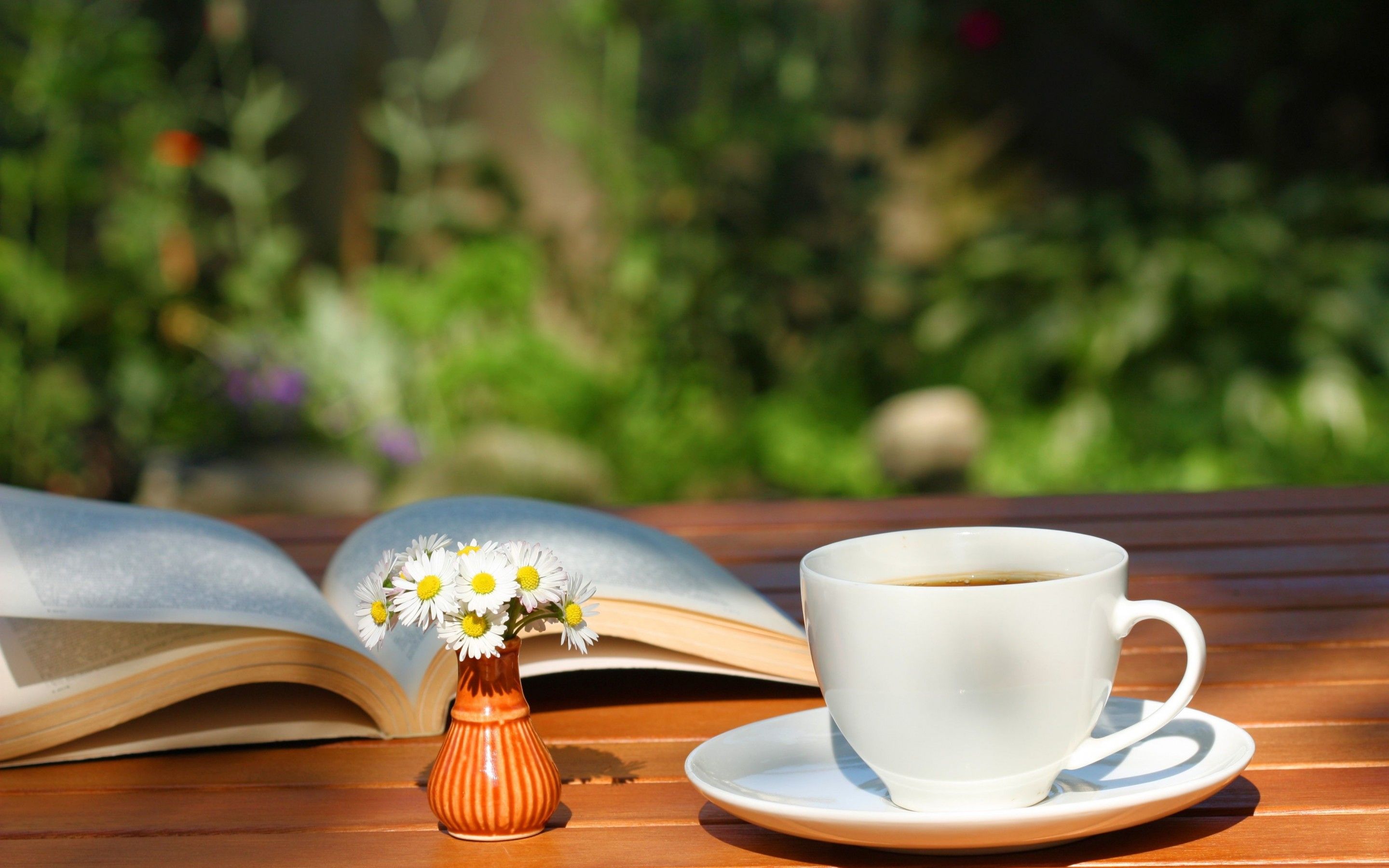 Tè e libro in giardino, 2880x1800 2K+, Desktop