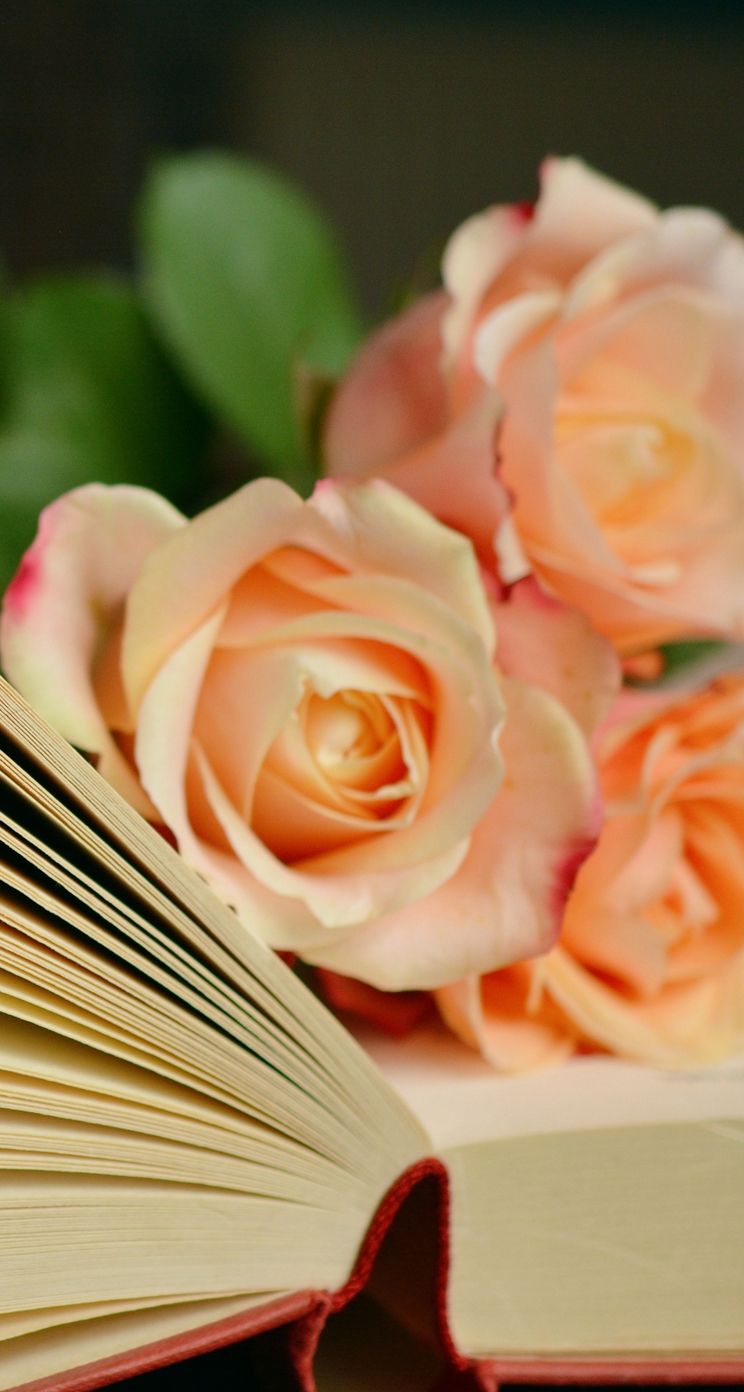 Libro aperto con rose rosa, 744x1392 Verticale, Telefono