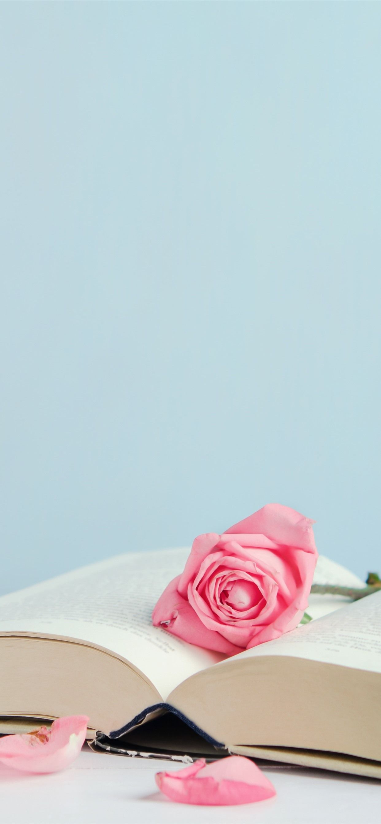 Libro aperto con rosa rosa, 1242x2688 Full HD Verticale, Smartphone