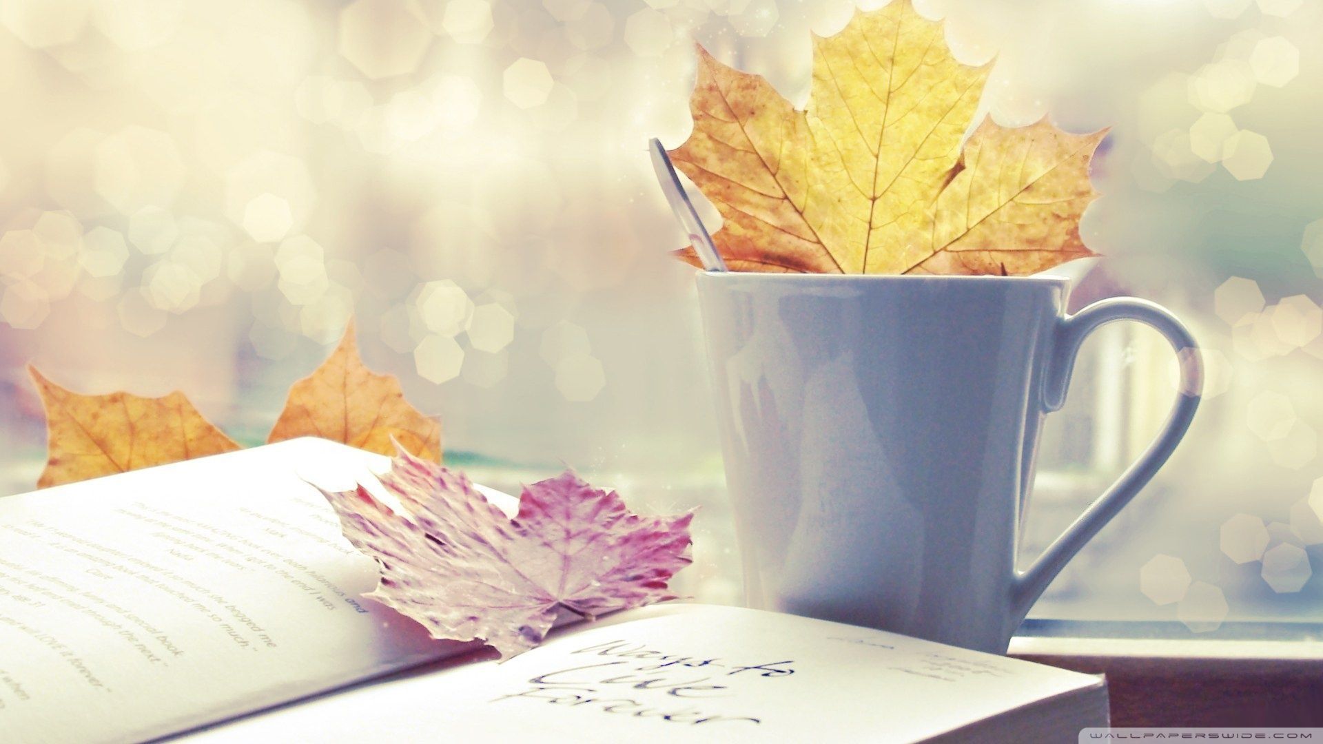 Tazza tè libro foglie autunno, 1920x1080 1080p, PC Desktop