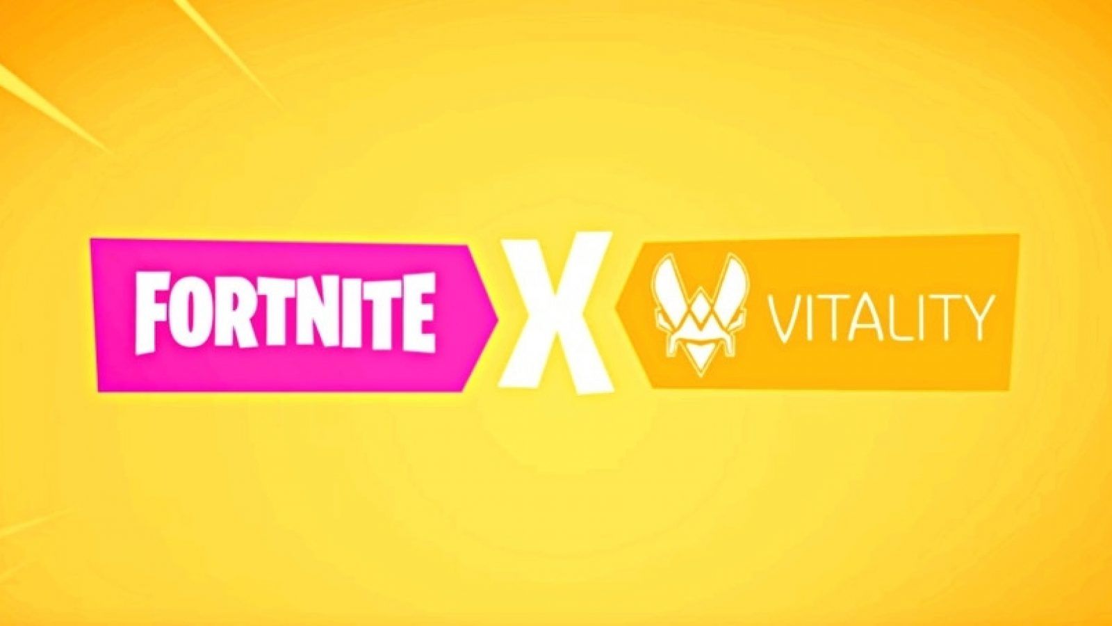 Team Vitality esport giocatori illustrazione, 1920x1080 Full HD 1080p, PC