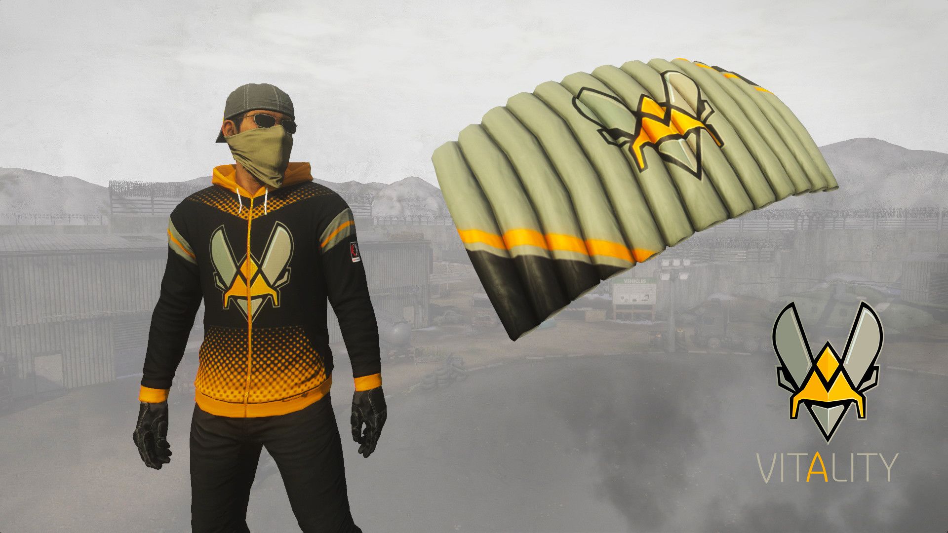 Logo Team Vitality ape, 1920x1080 1080p, PC