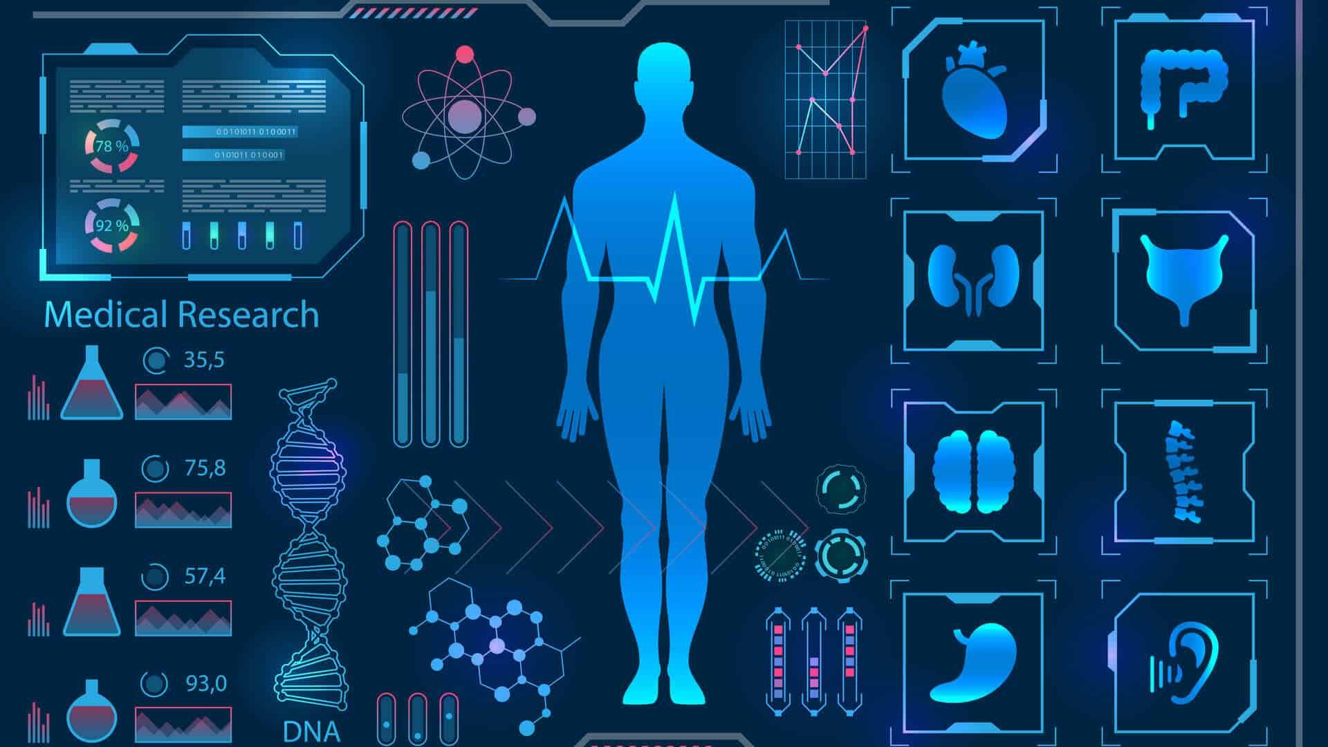 Interfaccia digitale corpo umano blu, 1920x1080 Full HD 1080p, PC Desktop
