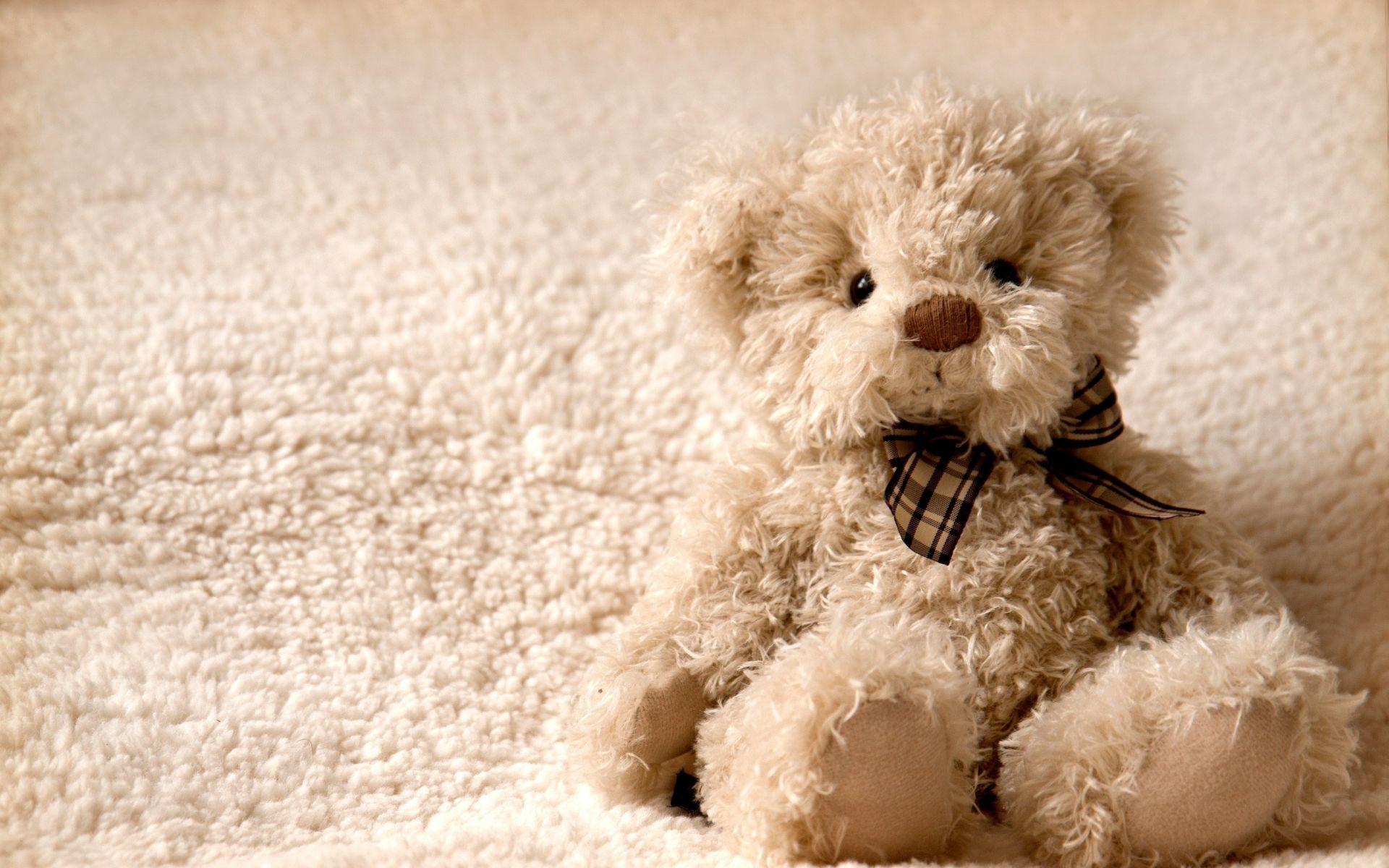 Orsetto di peluche beige, 1920x1200 WUXGA, Desktop