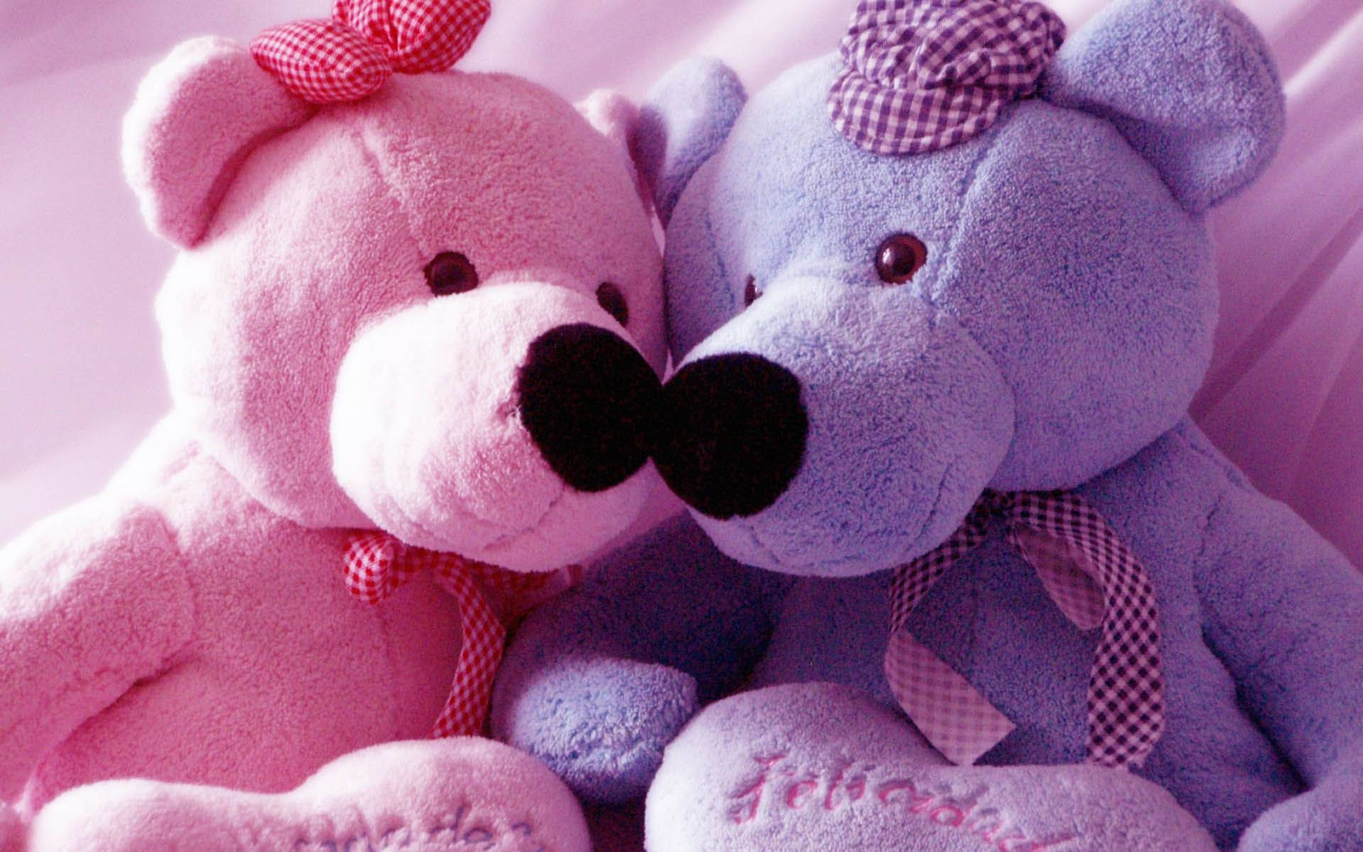 Orsetti peluche rosa e viola, 1920x1200 Full HD+, Laptop