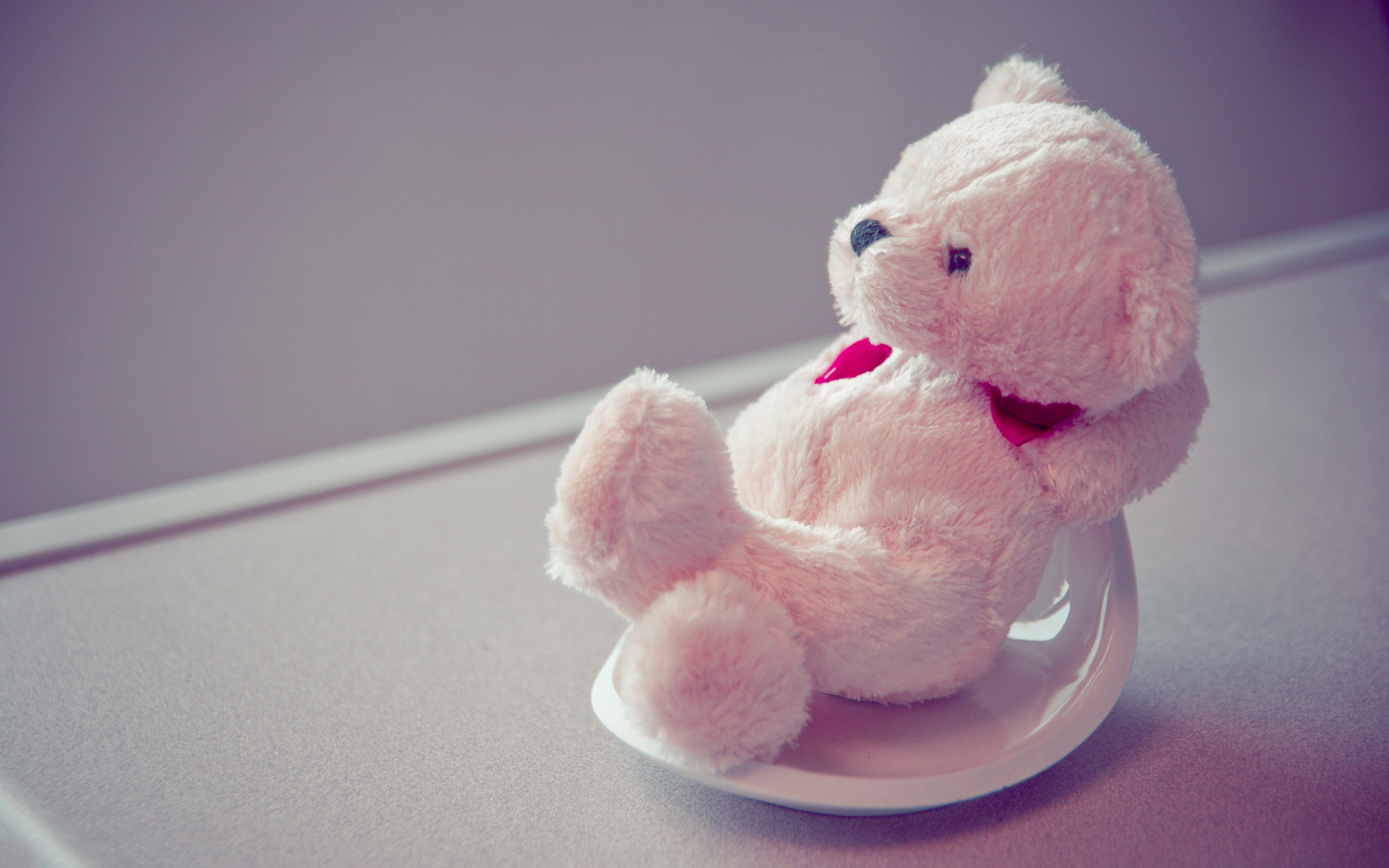 Orsetto peluche bianco su piatto, 2560x1600 WQXGA, MacBook Pro