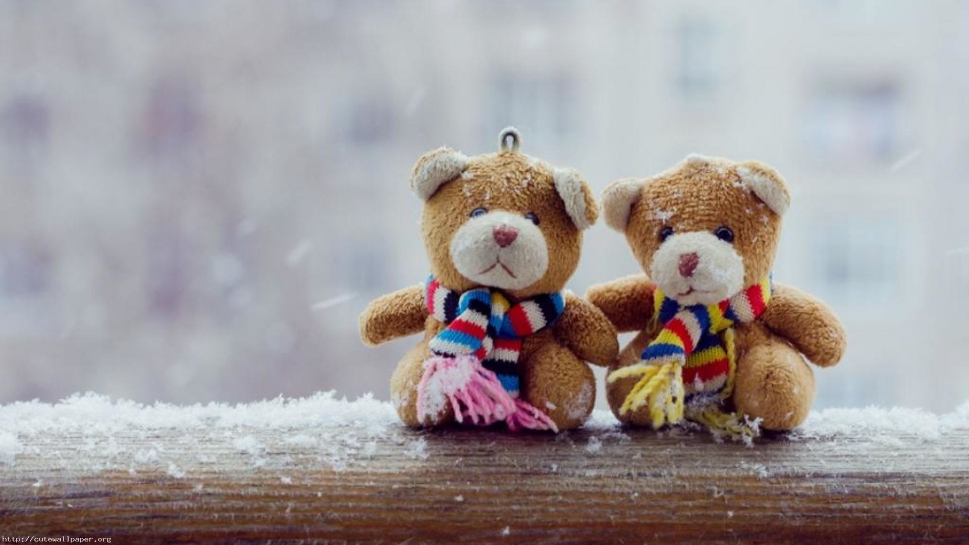 Due orsetti con sciarpa neve, 1920x1080 Full HD 1080p, Laptop