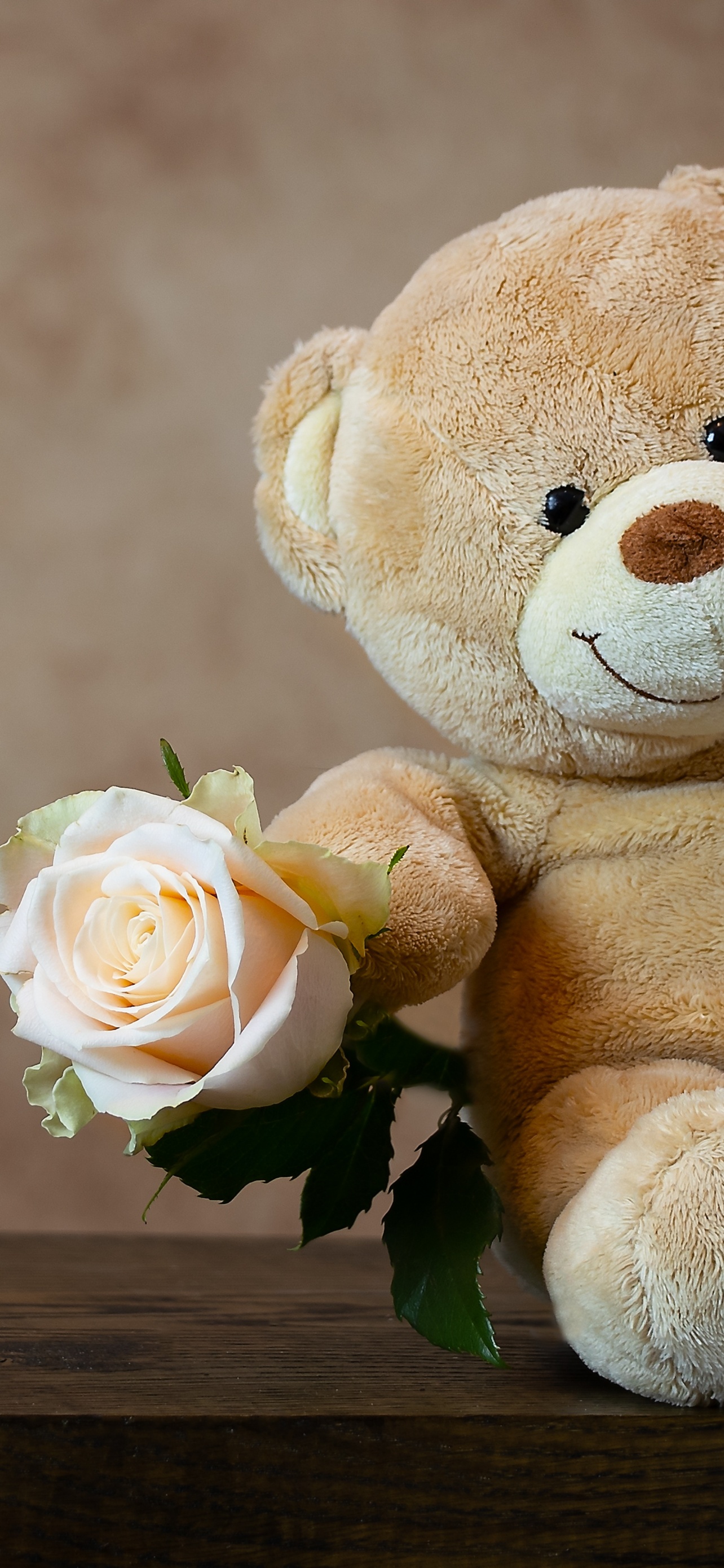 Orsetto peluche con rosa, 1284x2778 Full HD Verticale, iPhone