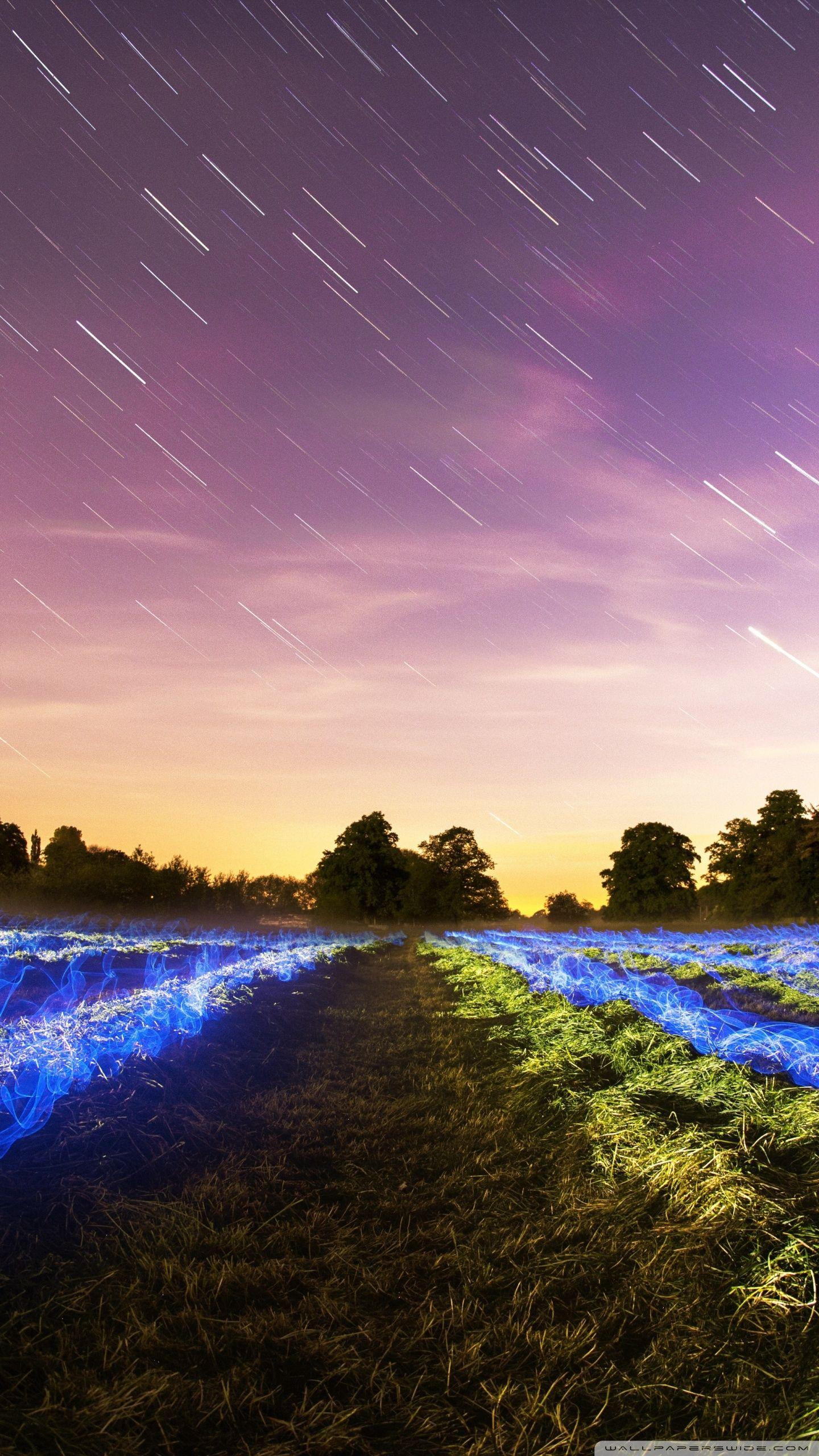 Campo bioluminescente sotto stelle, 1440x2560 Verticale, Mobile
