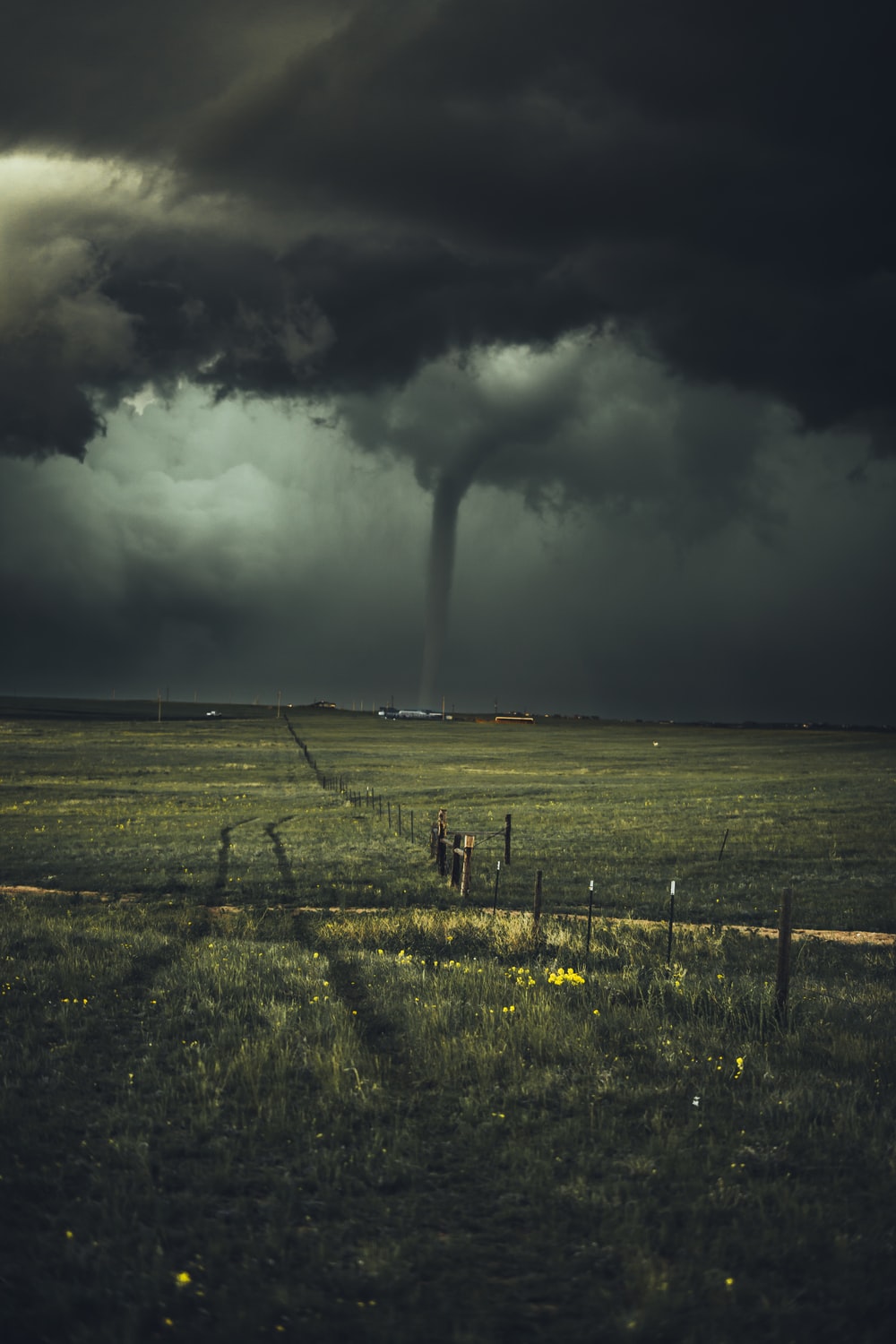 Tornado su campo tempestoso, 1000x1500 Full HD Verticale, Smartphone