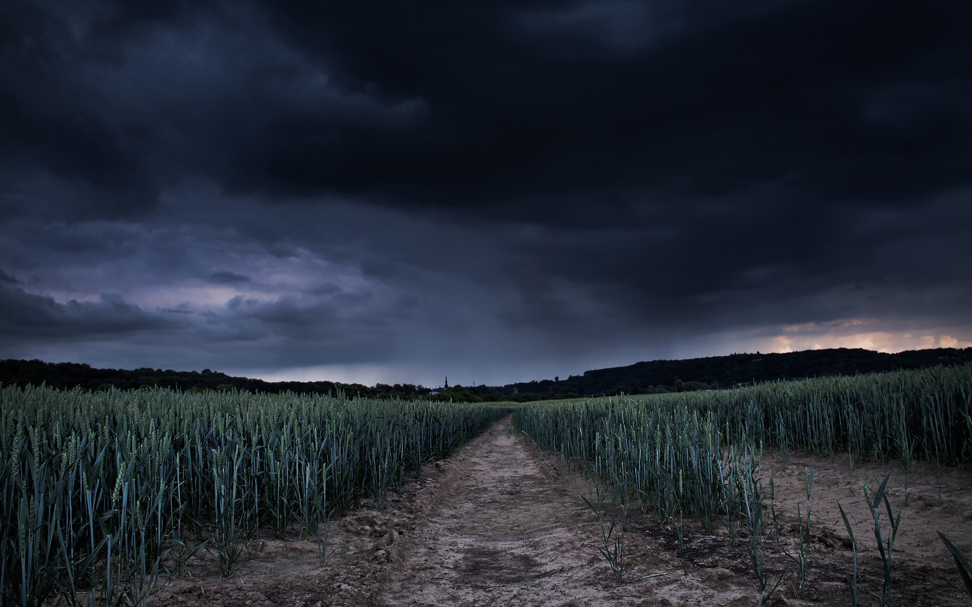 Campo di grano cielo tempestoso, 1920x1200 WUXGA, Desktop