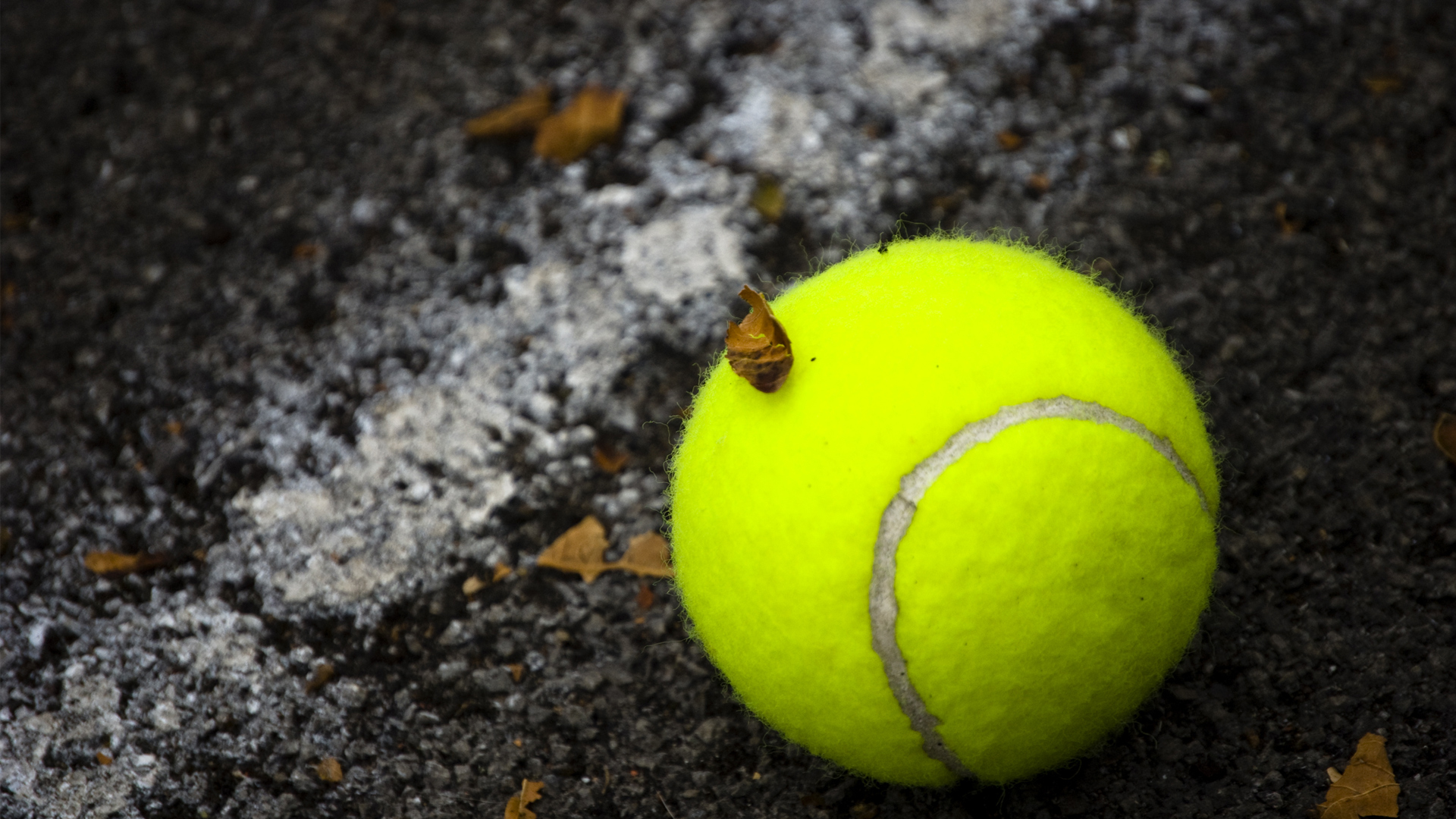 Pallina da tennis gialla terra, 1920x1080 Full HD, Laptop