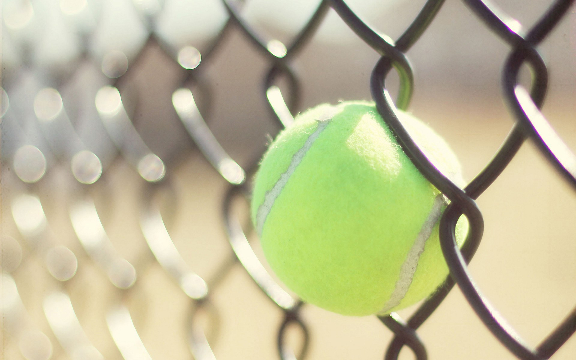 Pallina da tennis su recinzione, 1920x1200 Full HD+, PC Desktop