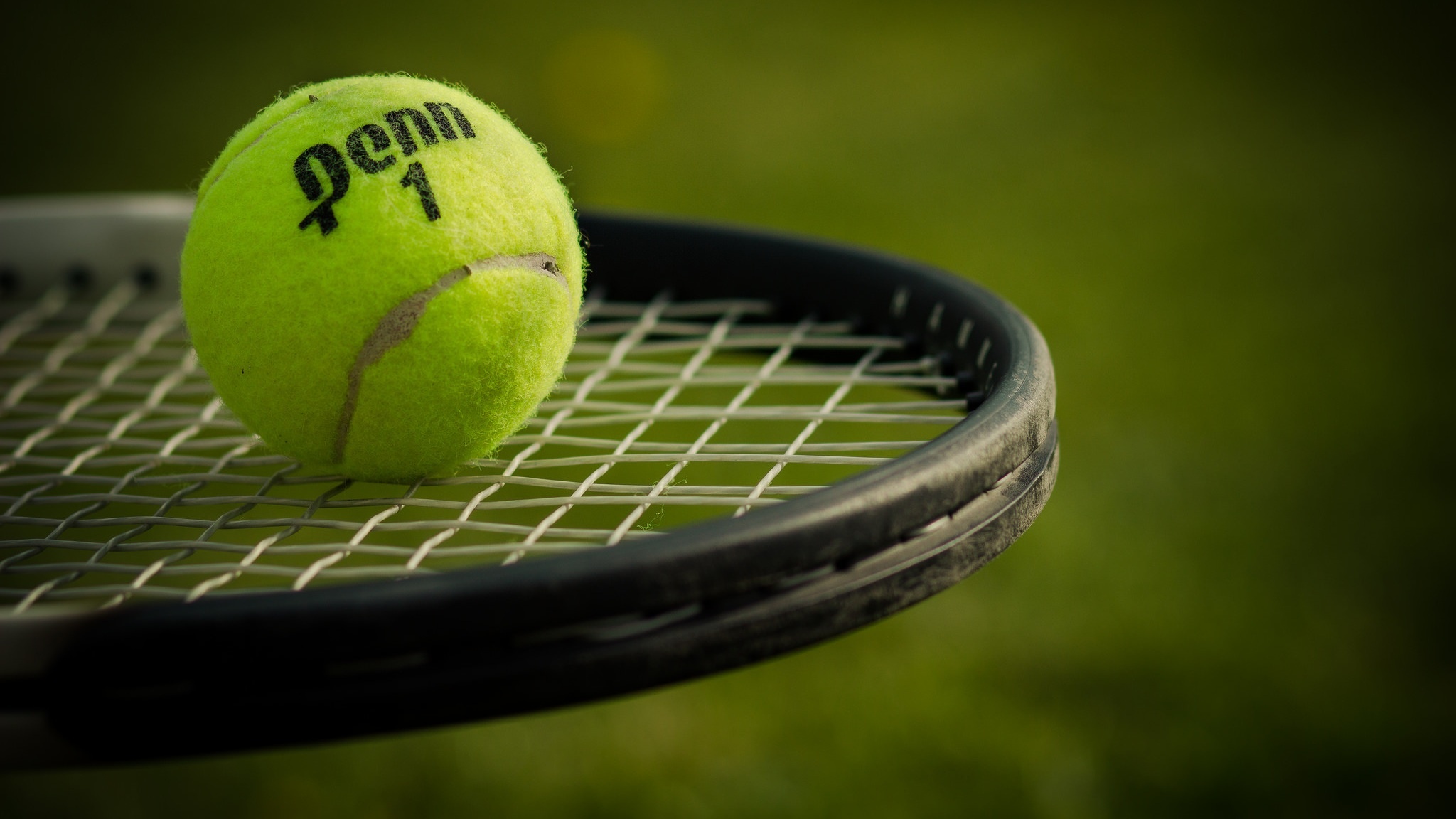 Pallina Penn su racchetta tennis, 2048x1152 2K, Desktop