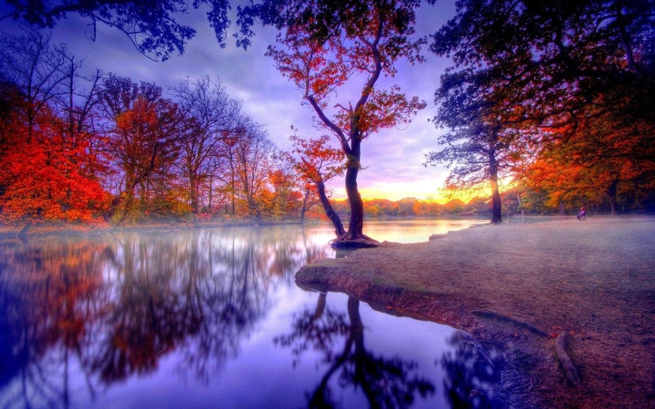 paesaggio autunnale lago fantastico, 1280x800 HD, Desktop