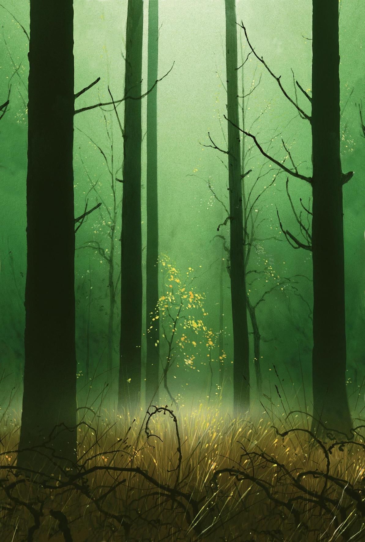 Foresta magica verde nebbiosa, 1193x1769 Full HD Verticale, Smartphone