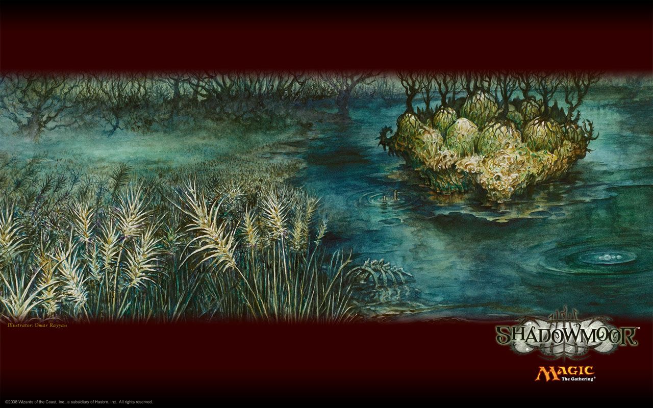 Palude oscura Magic Shadowmoor, 1280x800 HD, Desktop