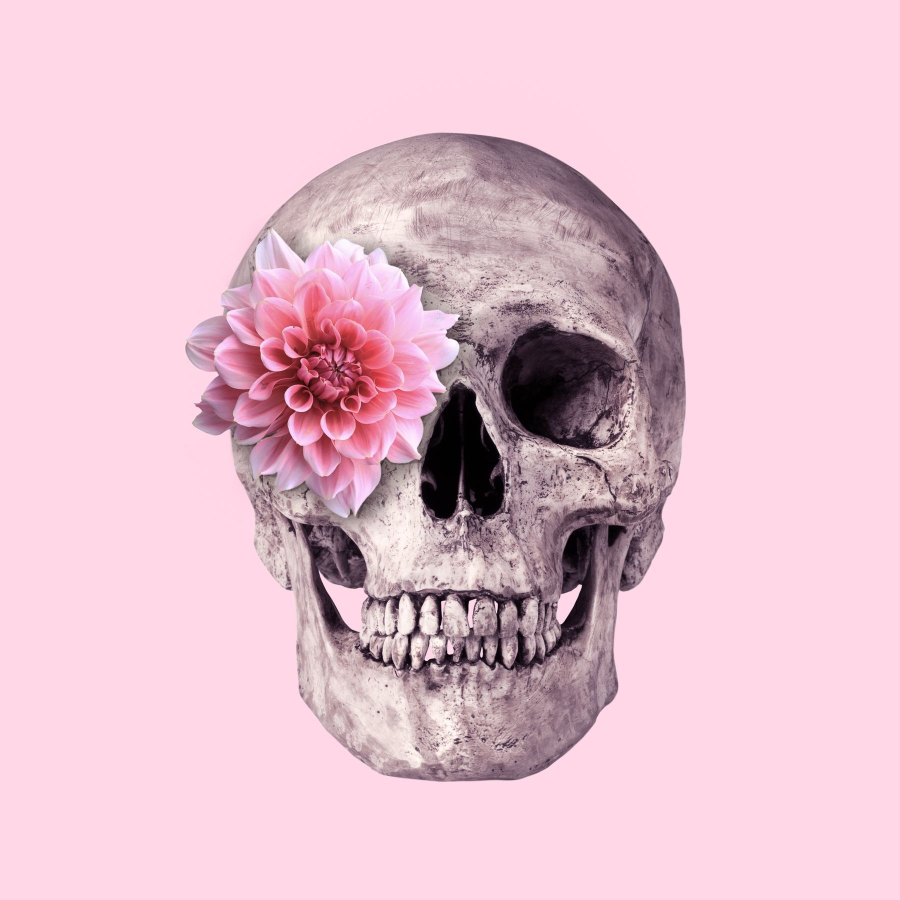 Teschio floreale sugar skull, 1920x1080 Full HD 1080p, PC