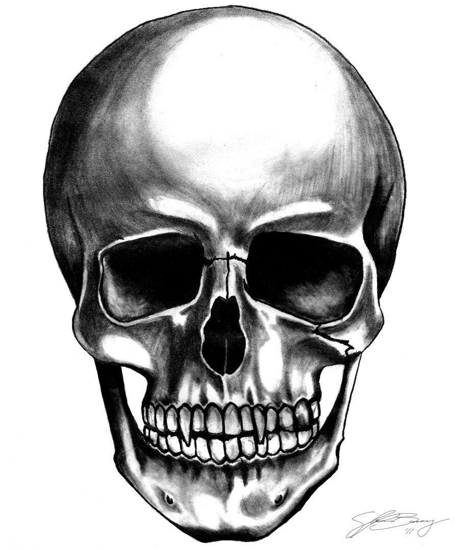 Teschio disegnato bianco e nero, 900x1080 Verticale, Mobile