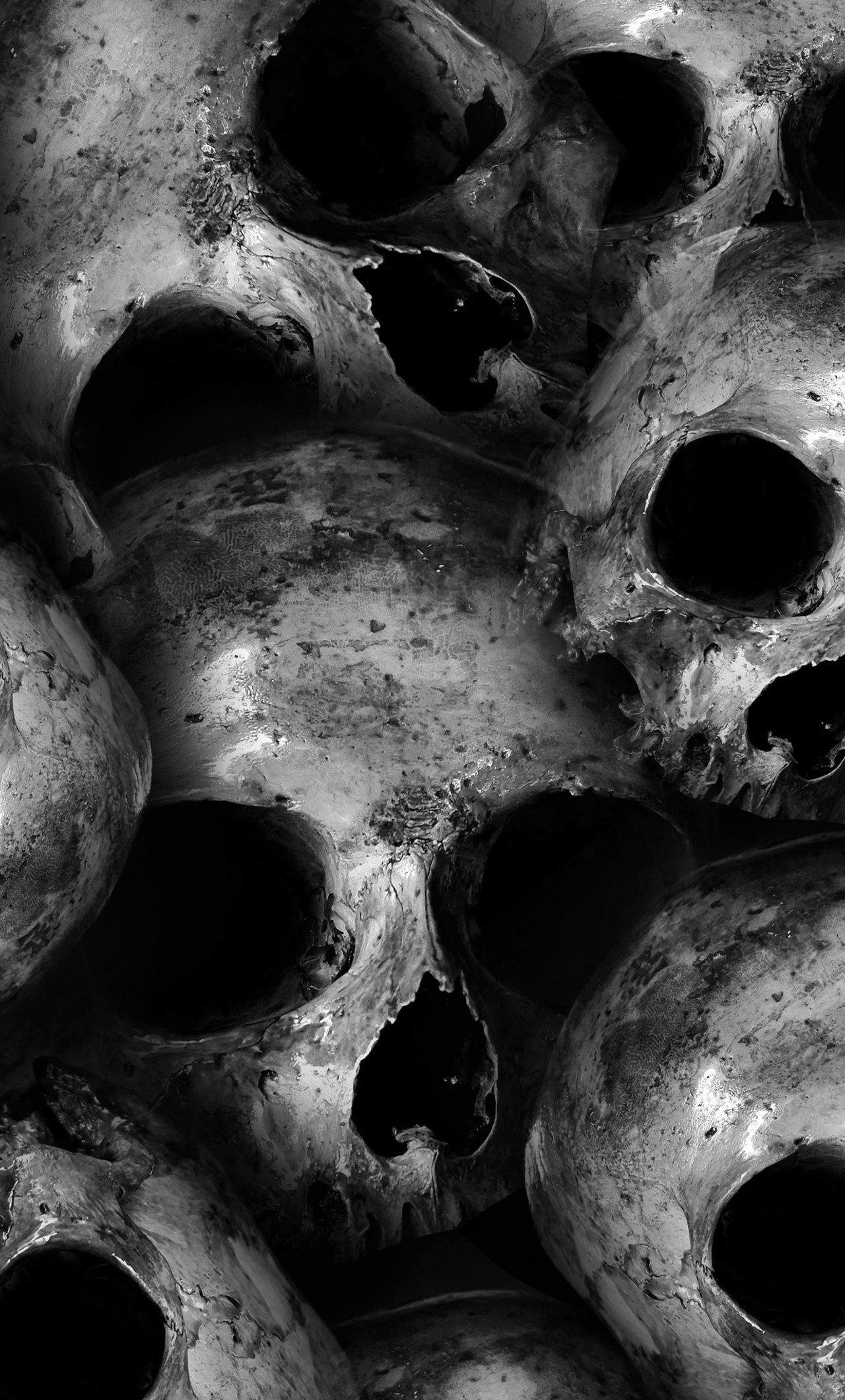 Teschi spaventosi bianco e nero, 1280x2120 Full HD Verticale, iPhone