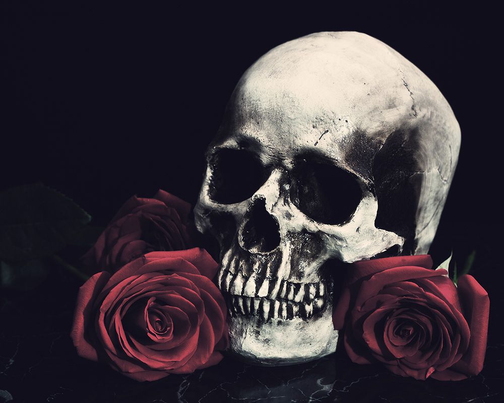 Teschio con rose rosse, 1000x800 HD, PC Desktop
