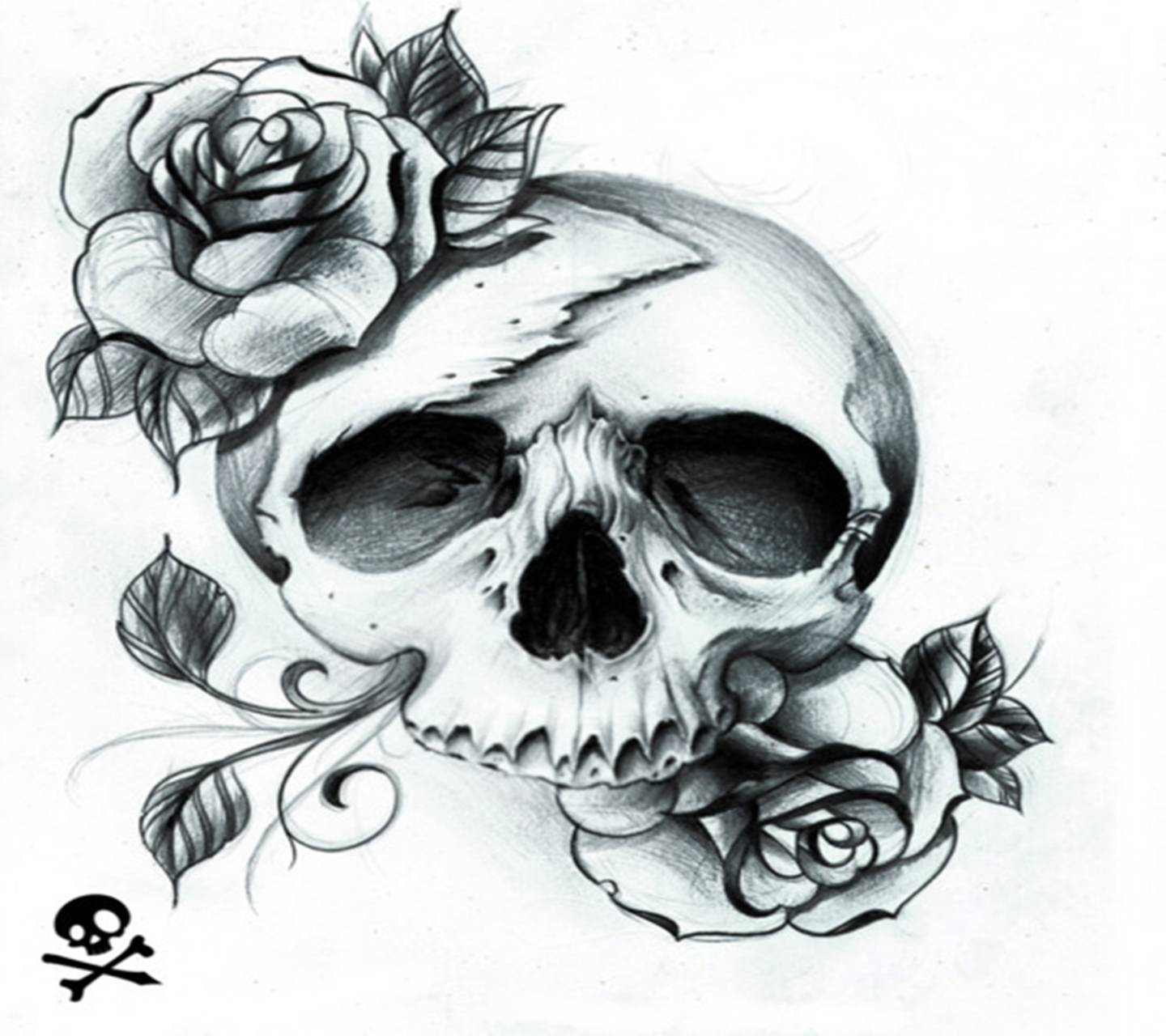 Teschio nero con rose, 1440x1280 720p, PC