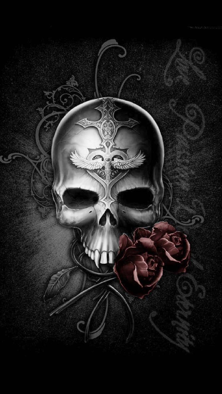 Rose rosa su nero, 1080x1920 Full HD Verticale, Smartphone