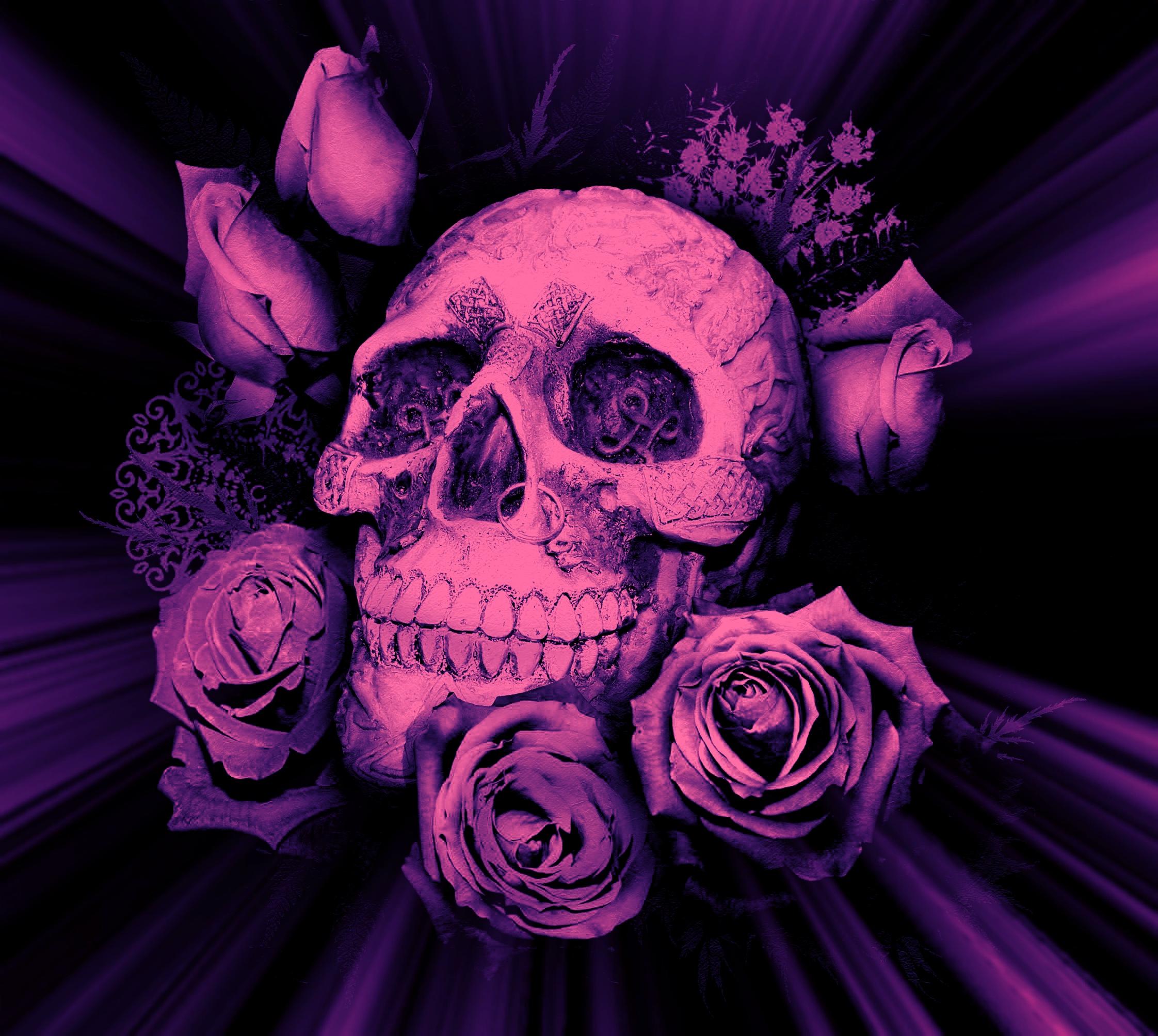 Rose scure con testo FAKE, 736x1309 Full HD Verticale, Smartphone
