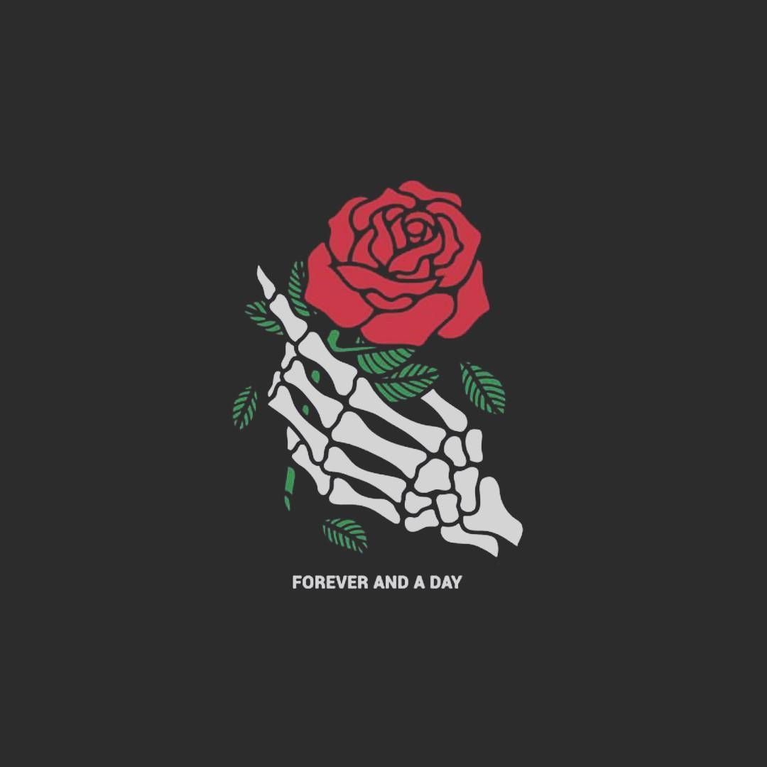 Mano scheletro con rosa rossa, 1080x1080 HD, Desktop