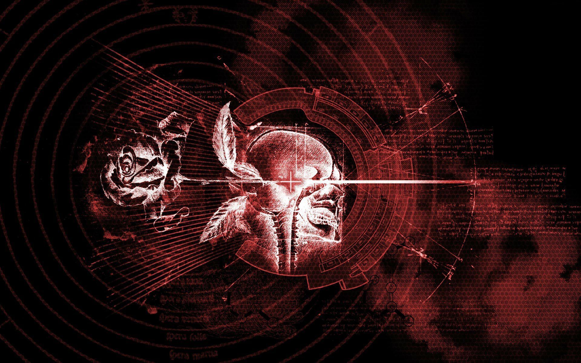 Teschio gotico rosso con rosa, 1920x1200 Full HD+ WUXGA, Desktop