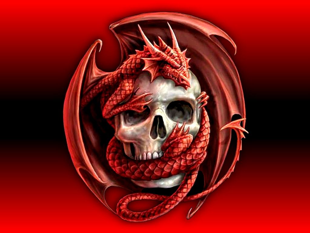 Drago rosso avvolge teschio, 1024x768 HD, PC