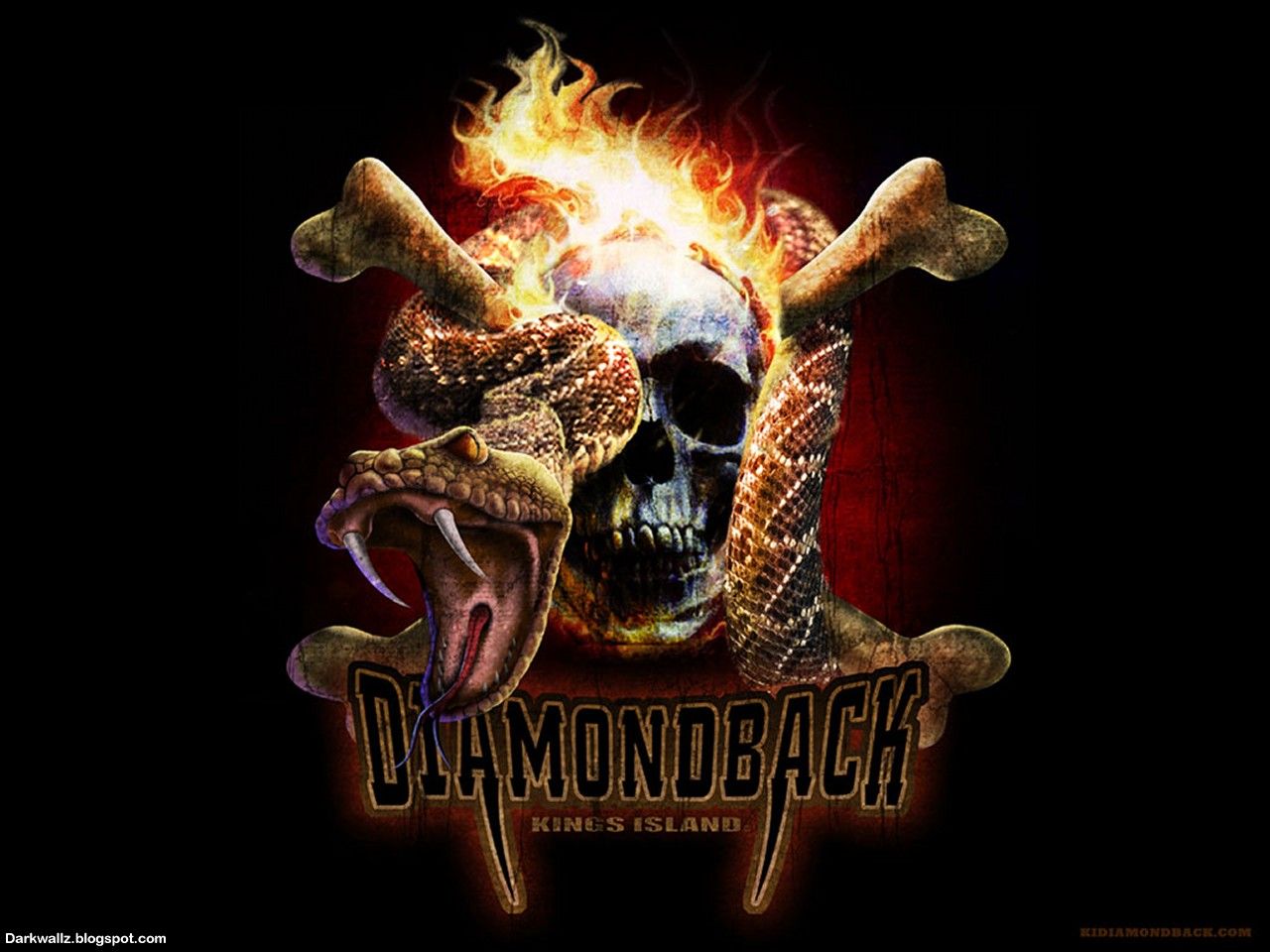 Teschio serpente diamondback fiamme, 1280x960 HD, ROG Asus Laptop