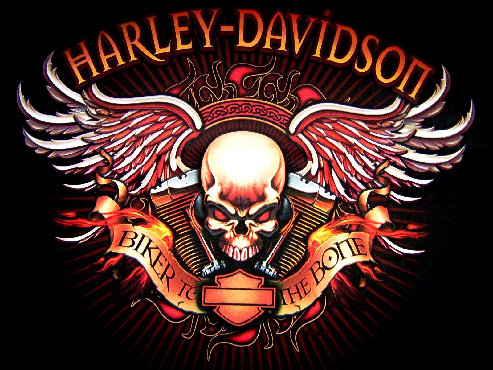 Teschio Harley-Davidson con ali, 1600x1200 900p, Laptop