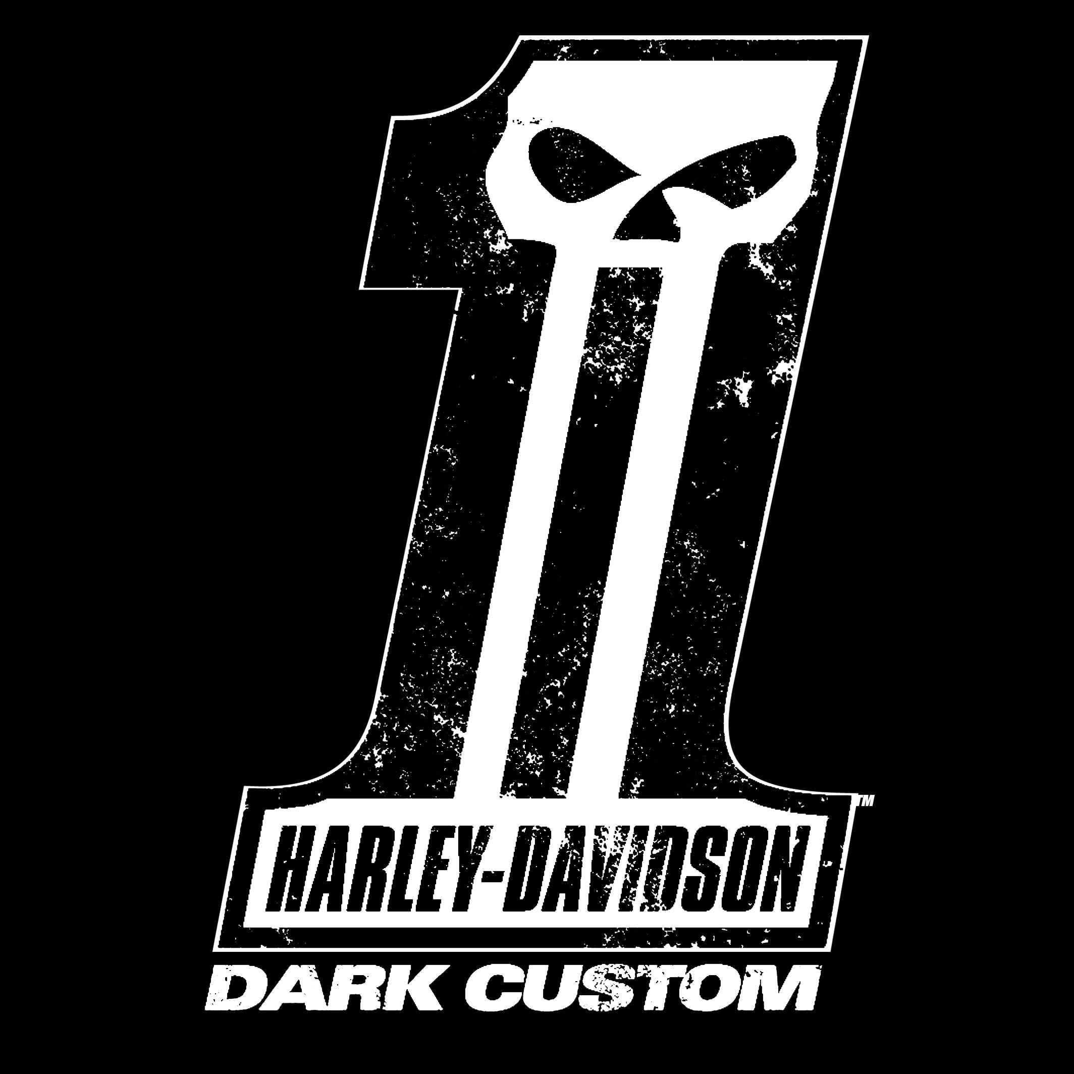 Teschio Harley-Davidson Dark Custom, 2128x2128 alta risoluzione, PC