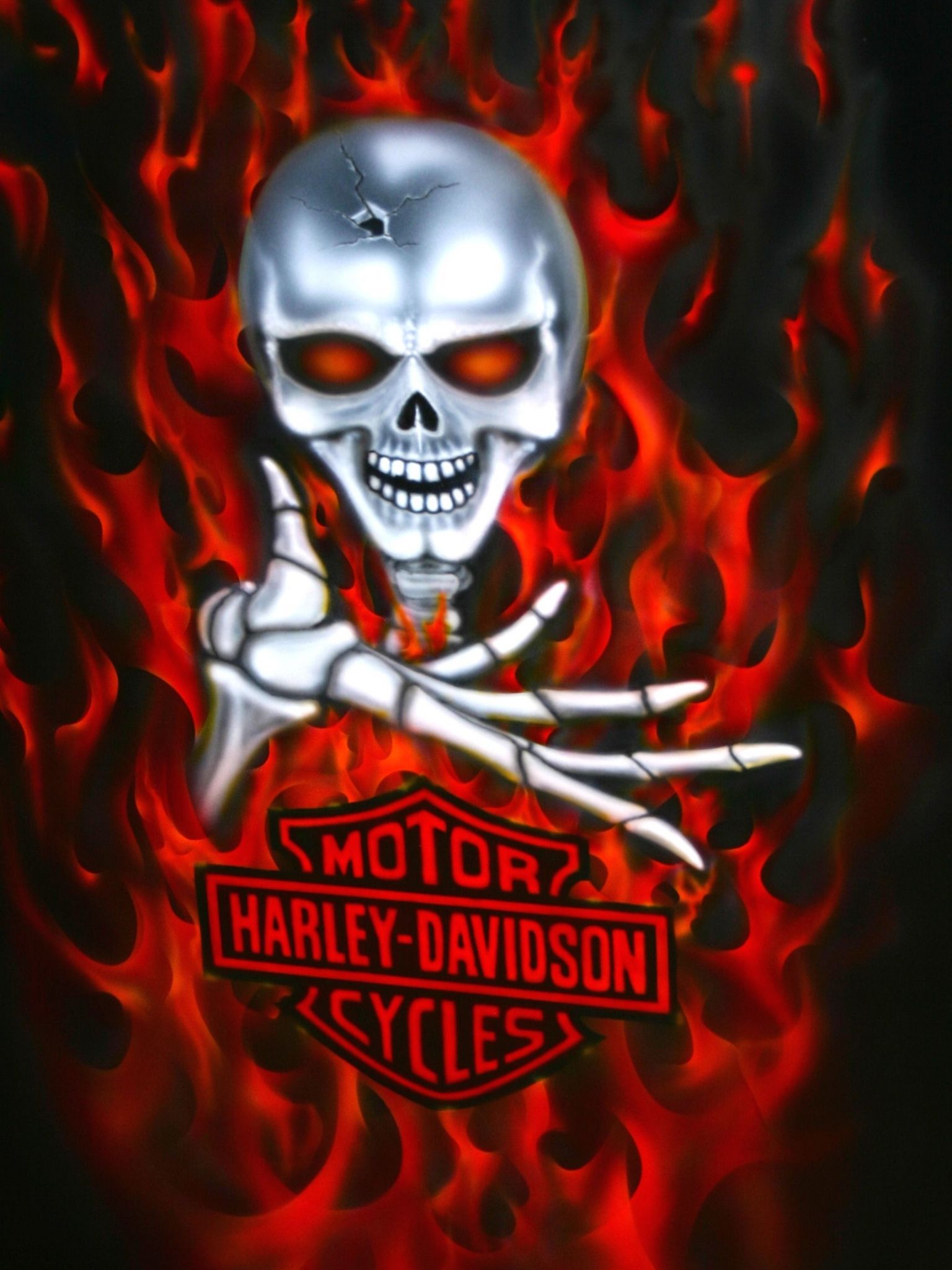 Teschio Harley-Davidson fiamme, 1536x2048 Full HD Verticale, Smartphone
