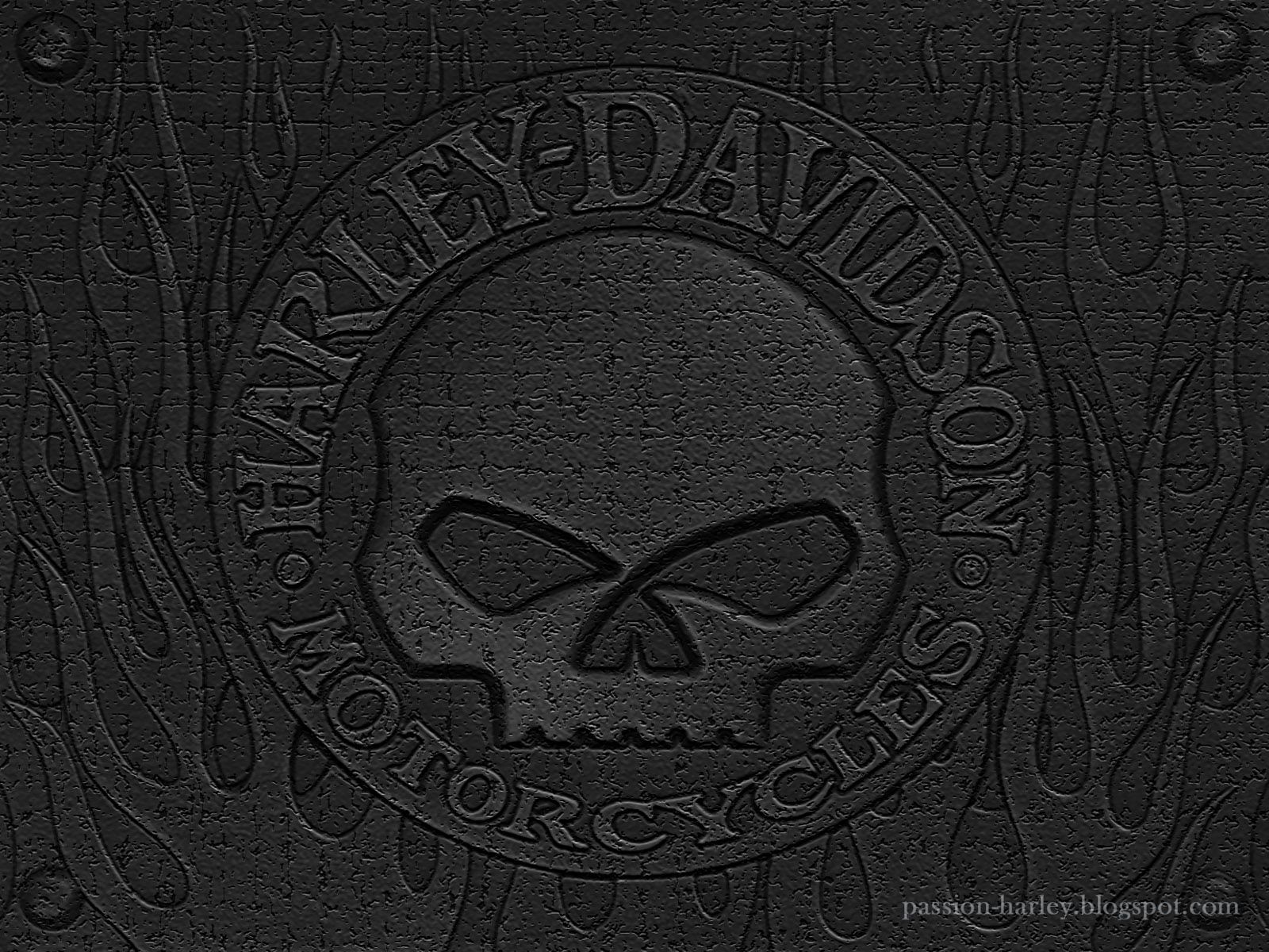 Teschio Harley-Davidson logo nero, 1600x1200 900p, Desktop