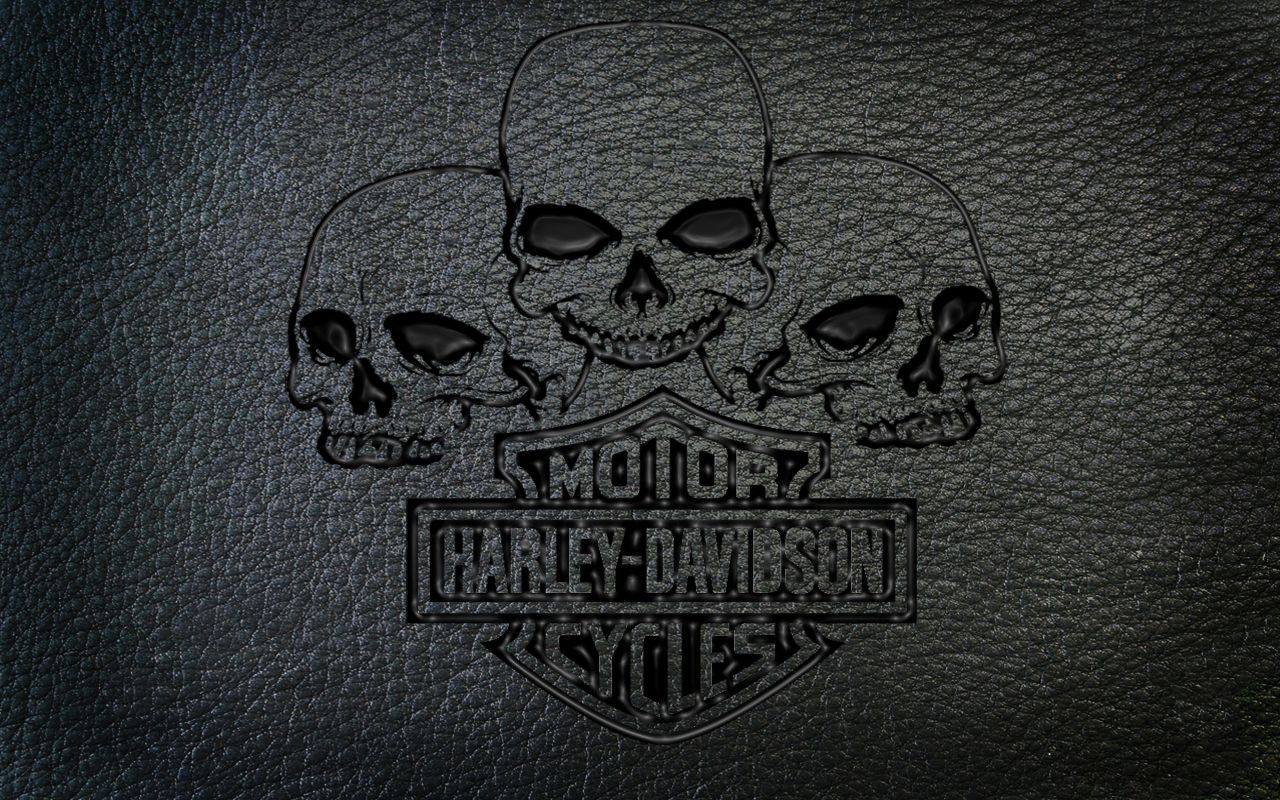 Teschi logo Harley-Davidson cuoio, 1280x800 HD, Desktop